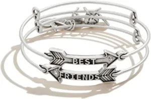 Alex and Ani Because I Love You Expandable Bangle for Women, Best Friends Arrow Charm, Rafaelian Silver Finish, 2 to 3.5 in, Set of 2, One Size (A20EBBFSETRS)