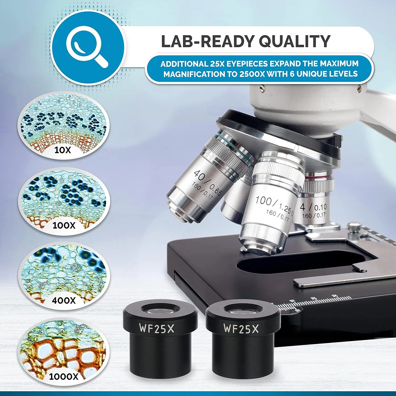 AmScope B120C Series Student & Professional LED Binocular Compound Microscope - 40X-2500X Magnification - Features Siedentopf Head & 3D Mechanical Stage