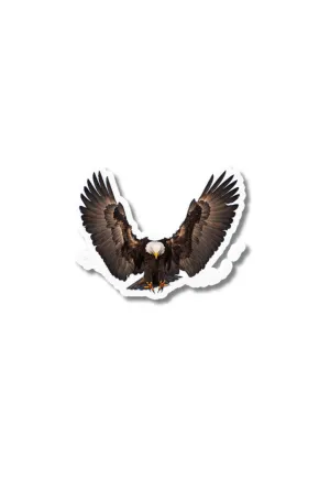 Bald Eagle Transparent Sticker