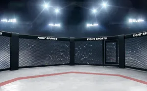 BELECO 7x5FT Fabric Boxing Backdrop Stadium Light 3D Arena Photo Backdrop Fight Sports Competition Ring Photography Background UFC Decor Baby Shower Birthday Party Boys Men Photo Props