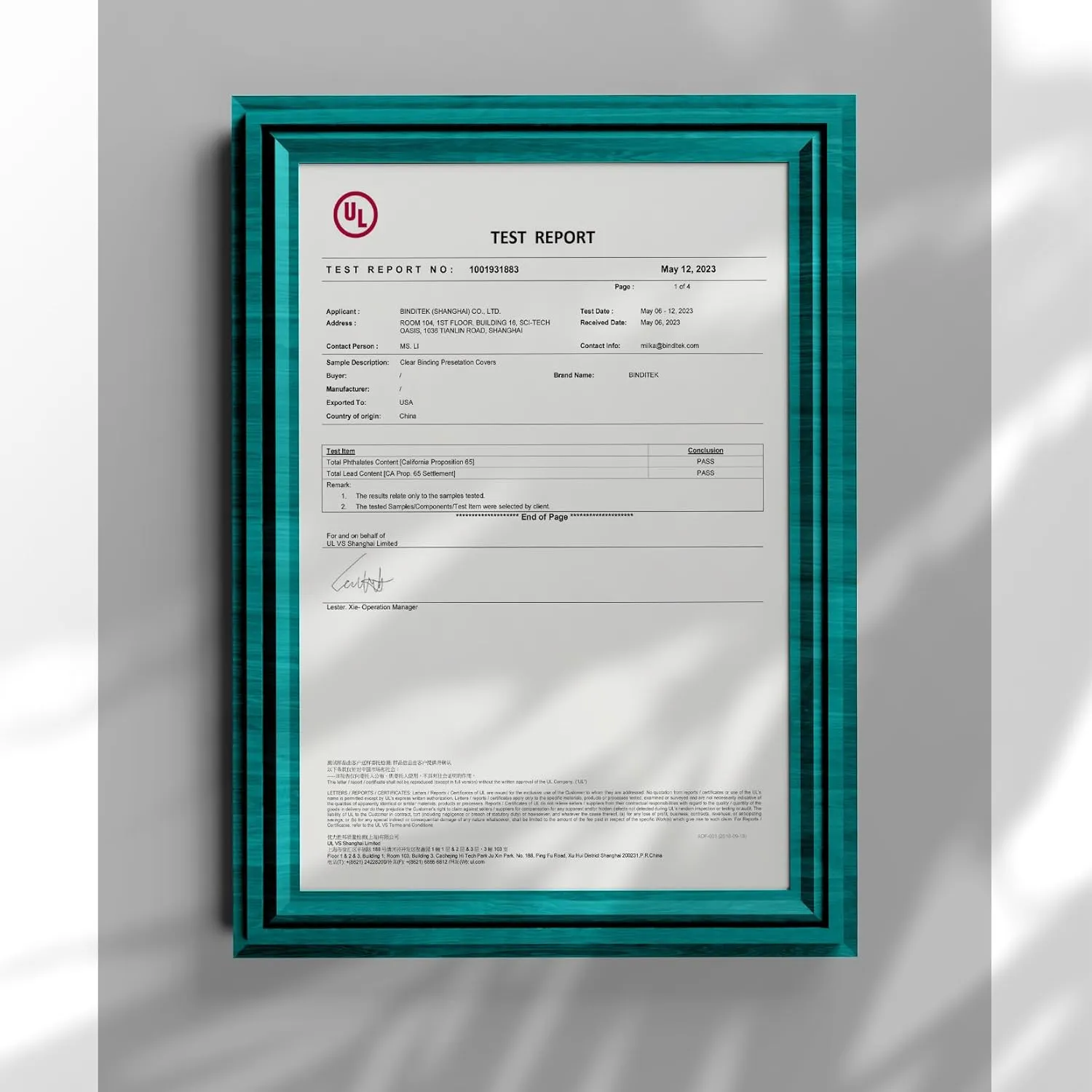 Binditek 100 Pack 8 Mil Ultra Clear Report Covers, Polythylene Terephthalate, 8.5 x 11 Inches, Letter Size, Square Corners, Un-Punched, for Students and Coworkers