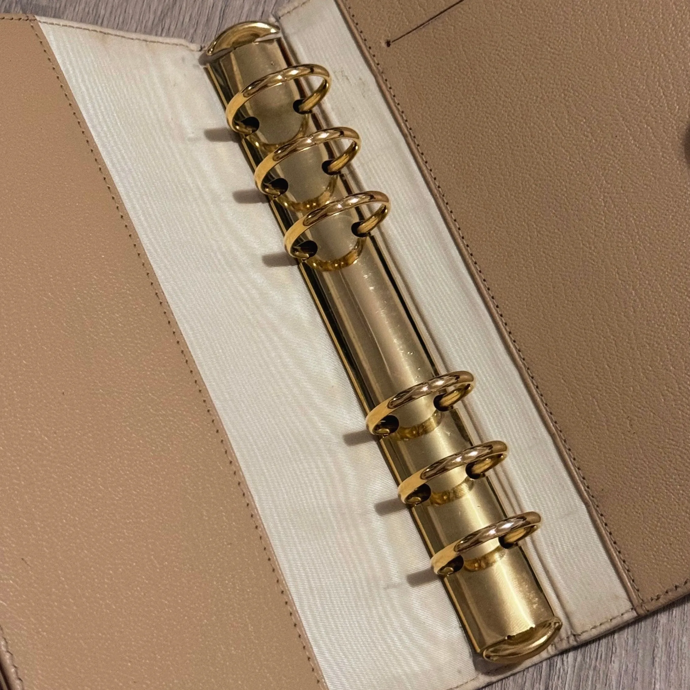 Chanel Classic Logo Clasp Beige MM Agenda