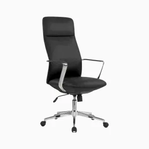 Director Leather Chair