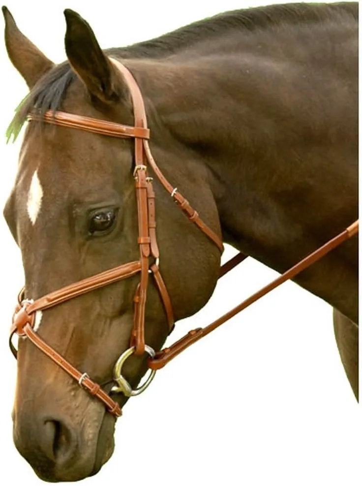 Elite Jumper Bridle - Crafted from High-Grade Leather with a Luxuriously Durable Finish, Figure 8 Noseband, Classic Elegance