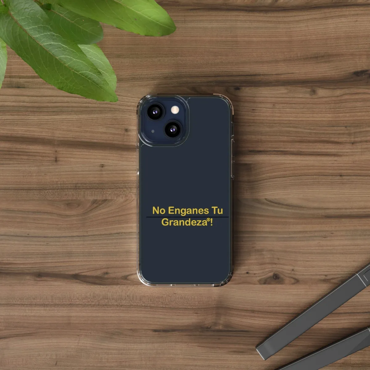 Espanol Clear Cases