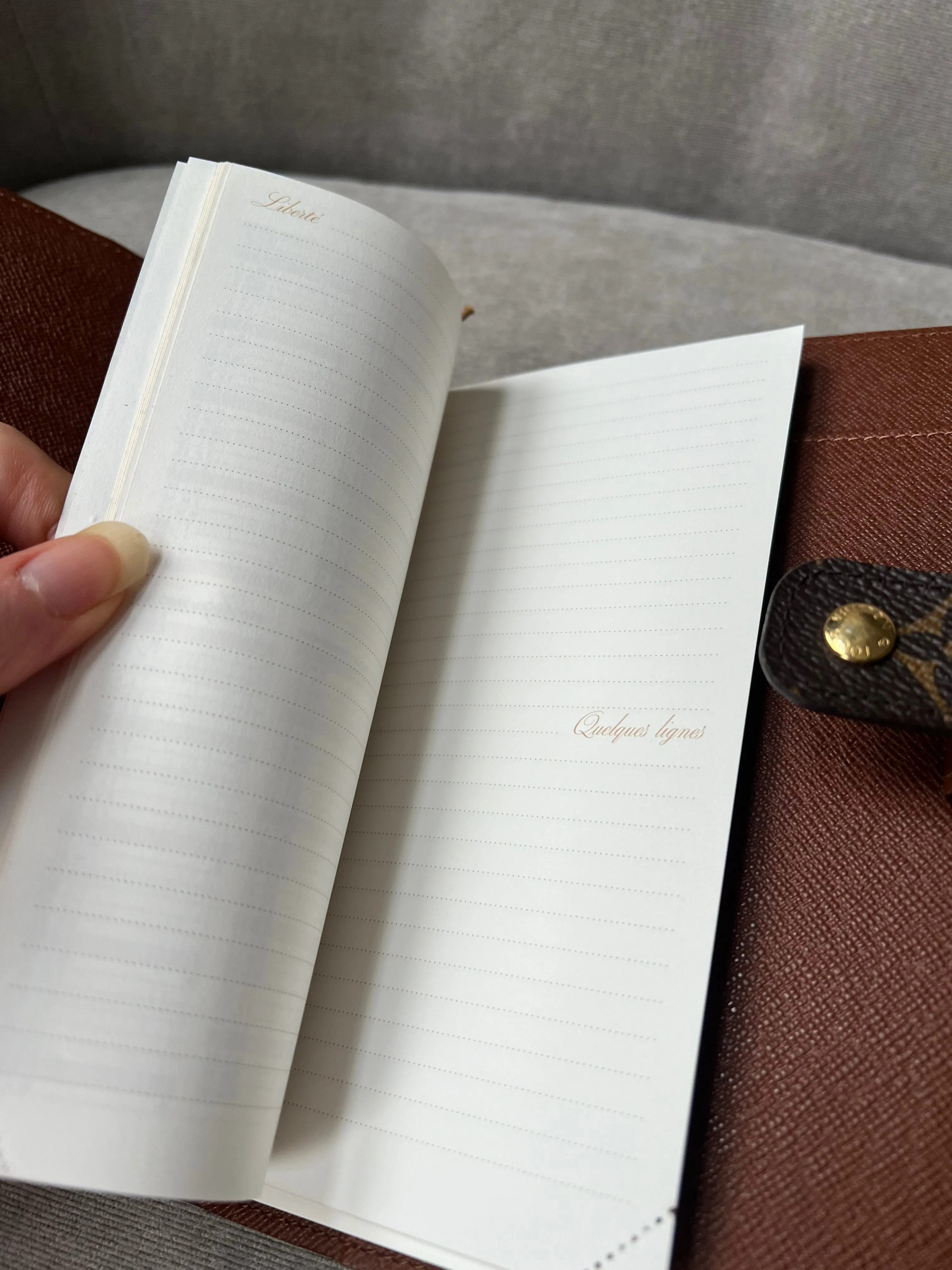 Louis Vuitton Monogram Medium Agenda Cover (RRP £465)