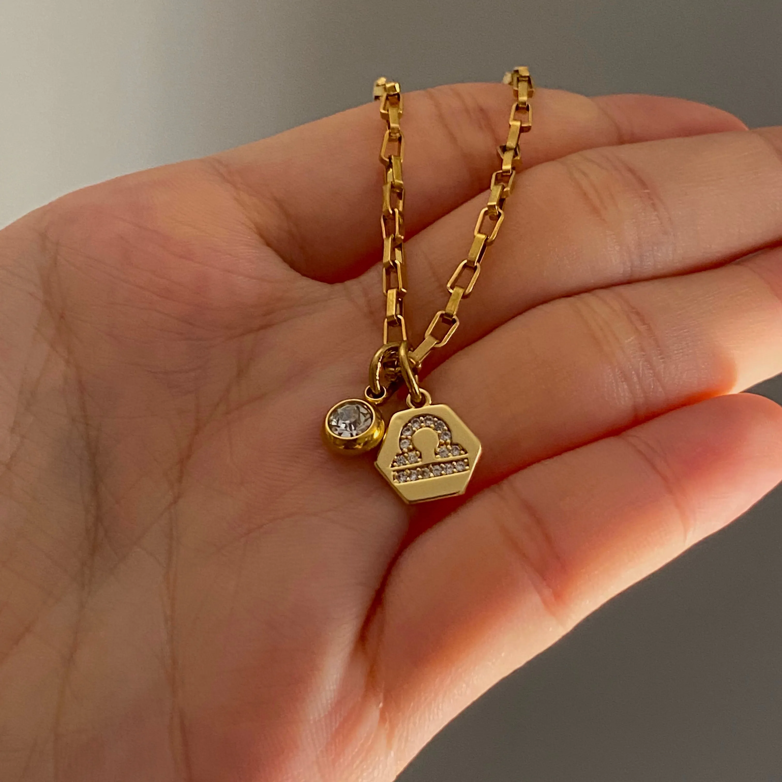 Mini Zodiac Necklace