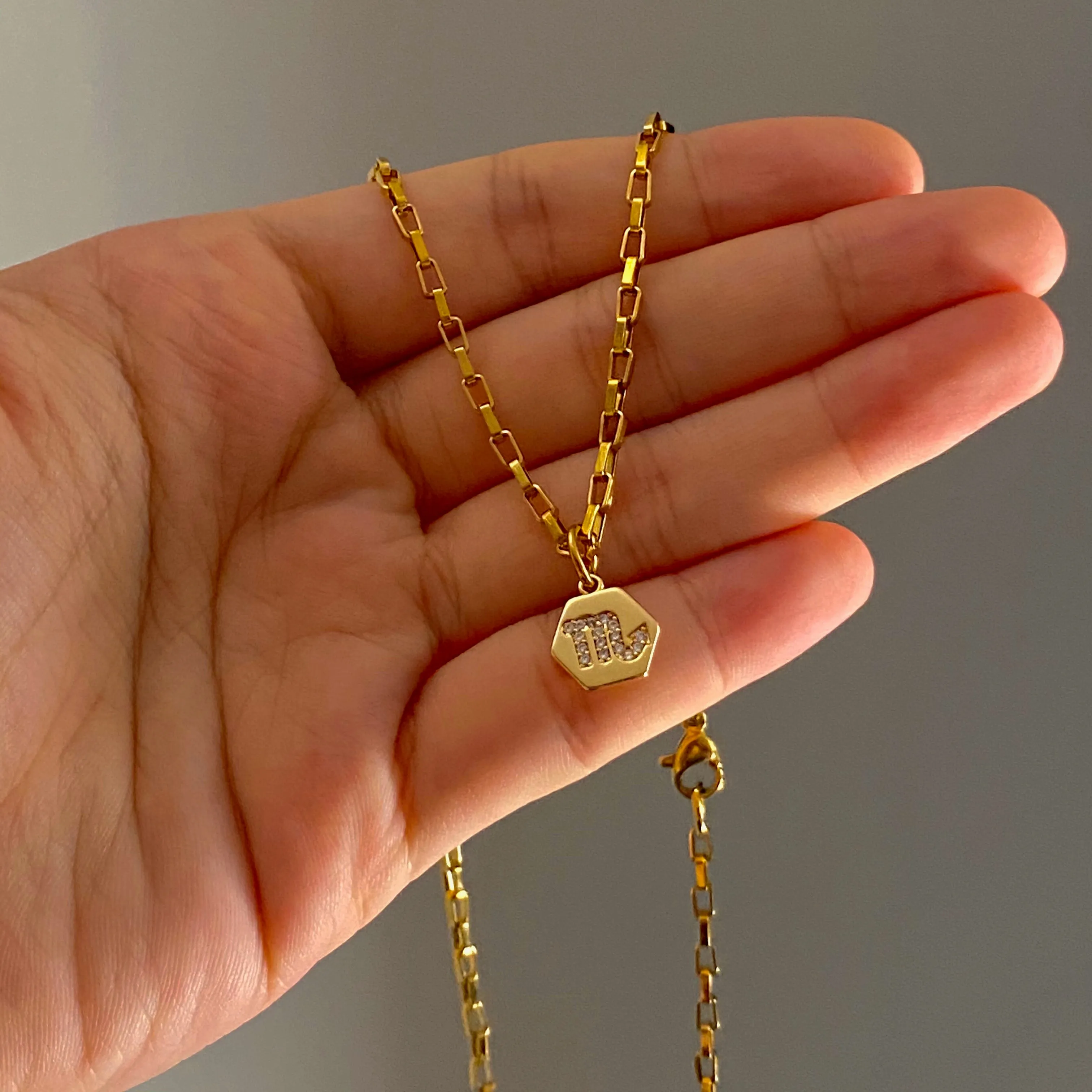 Mini Zodiac Necklace