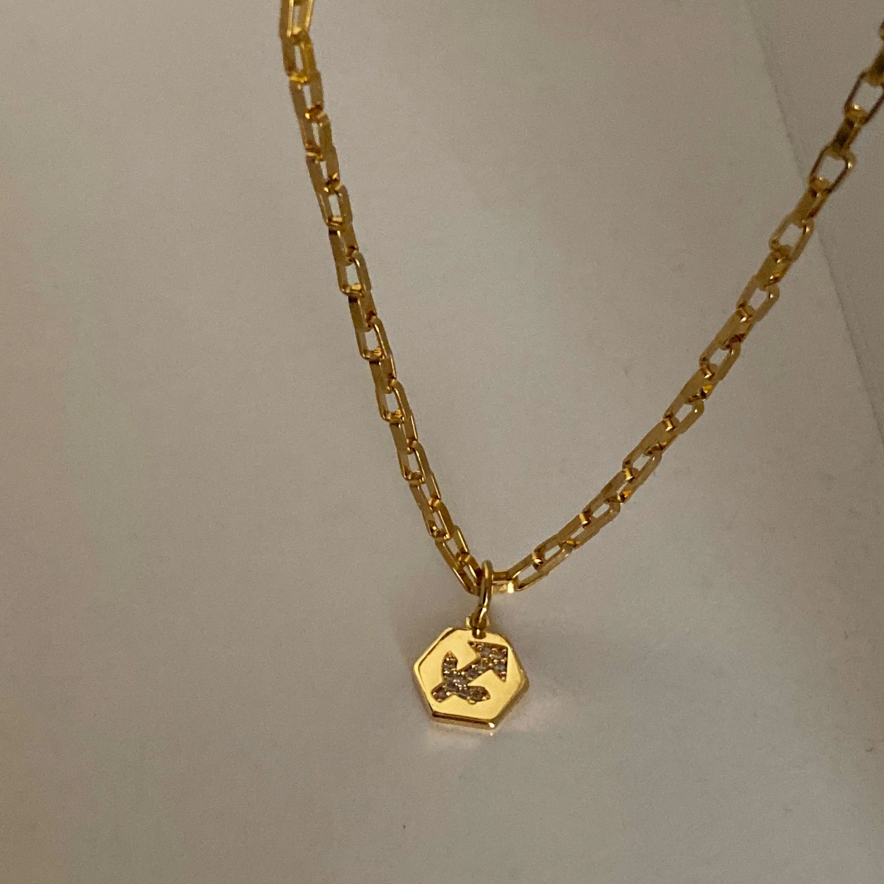 Mini Zodiac Necklace