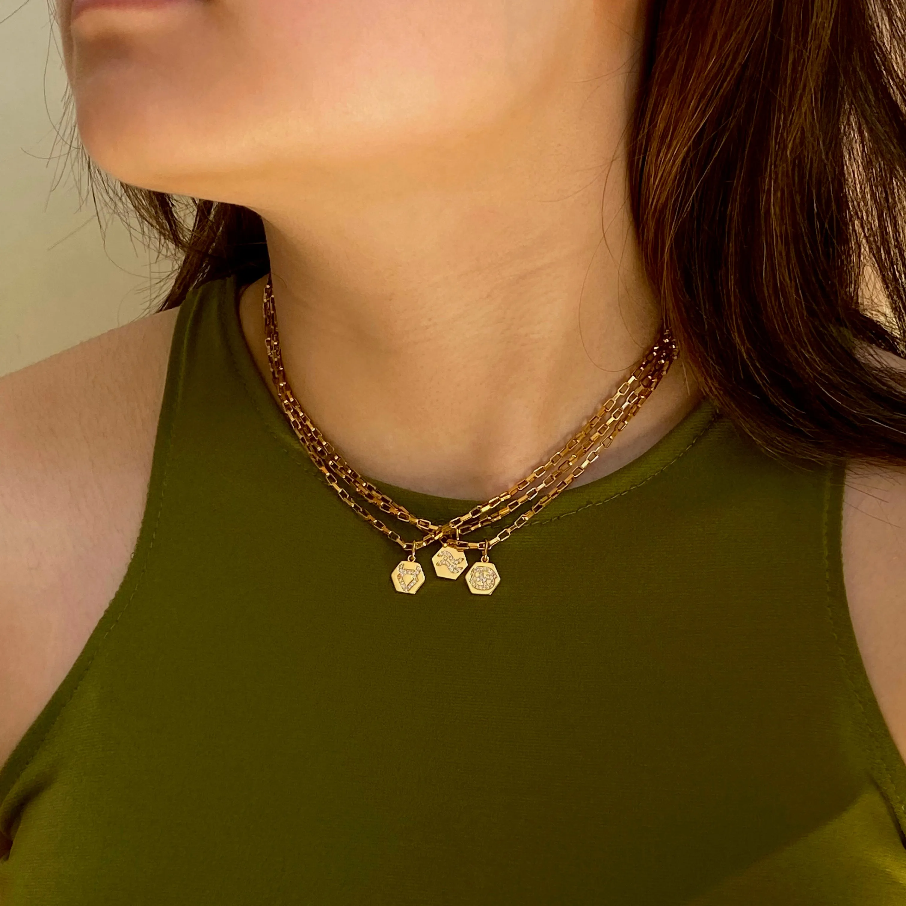Mini Zodiac Necklace