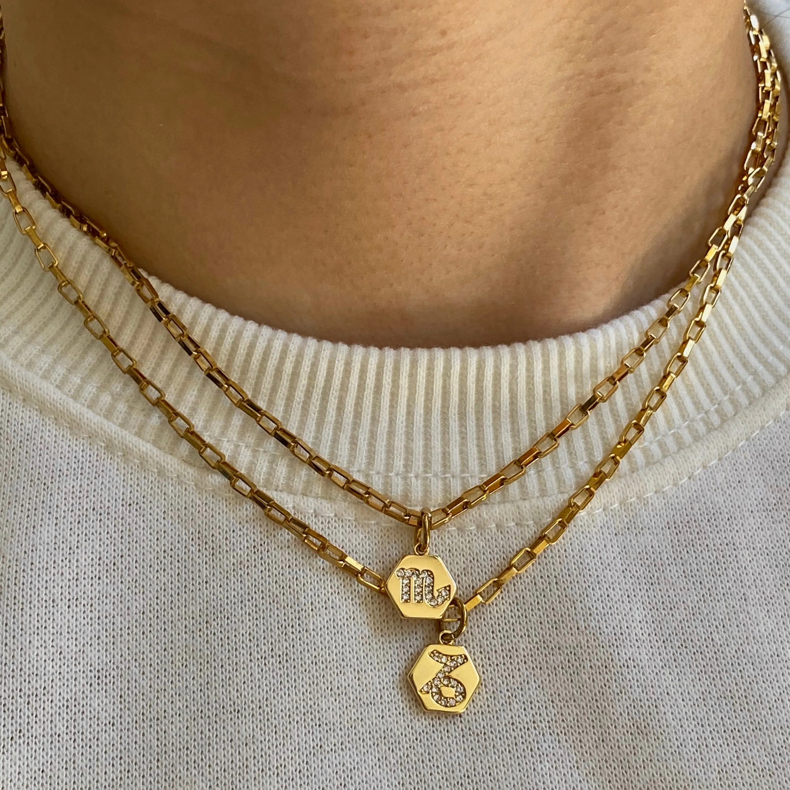 Mini Zodiac Necklace