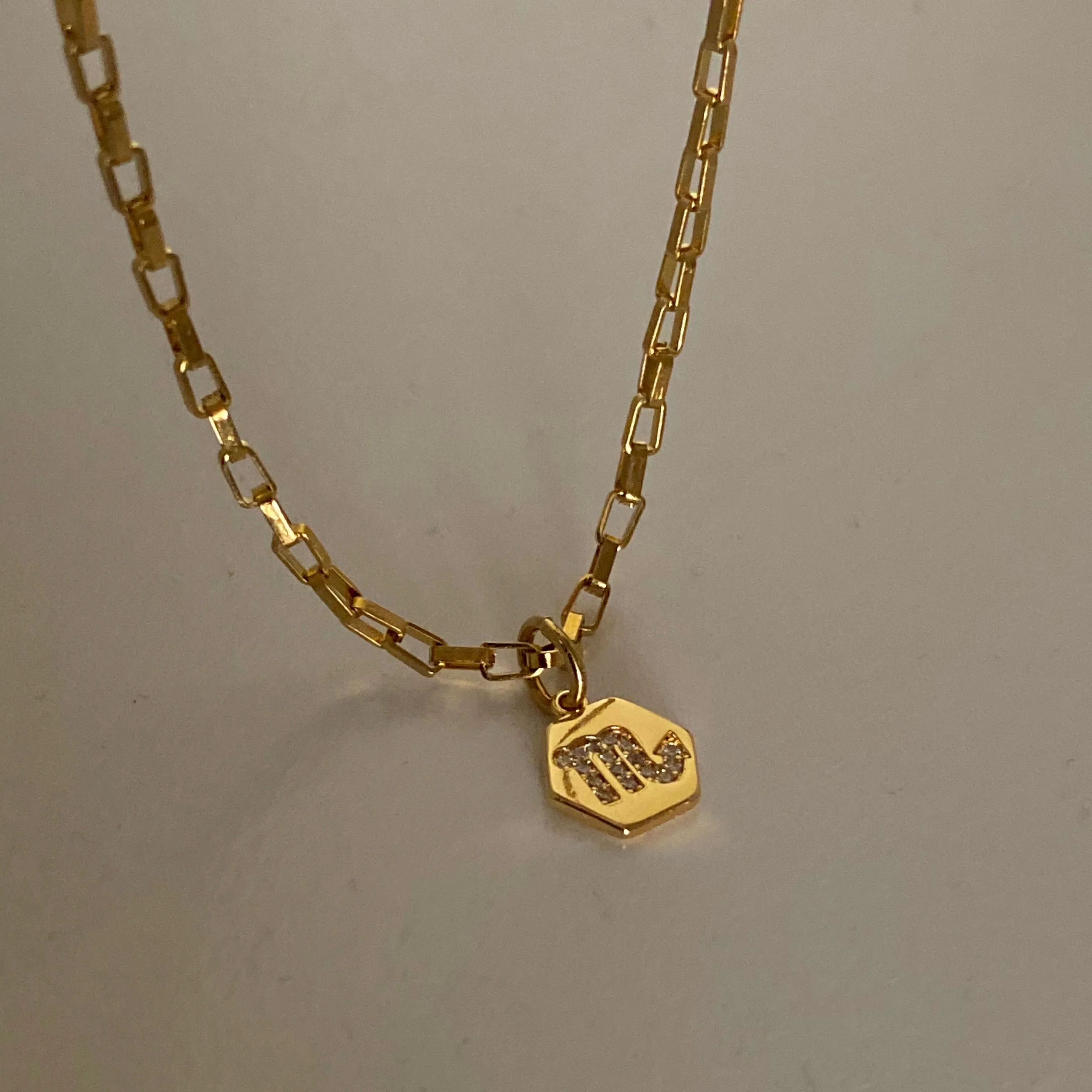 Mini Zodiac Necklace