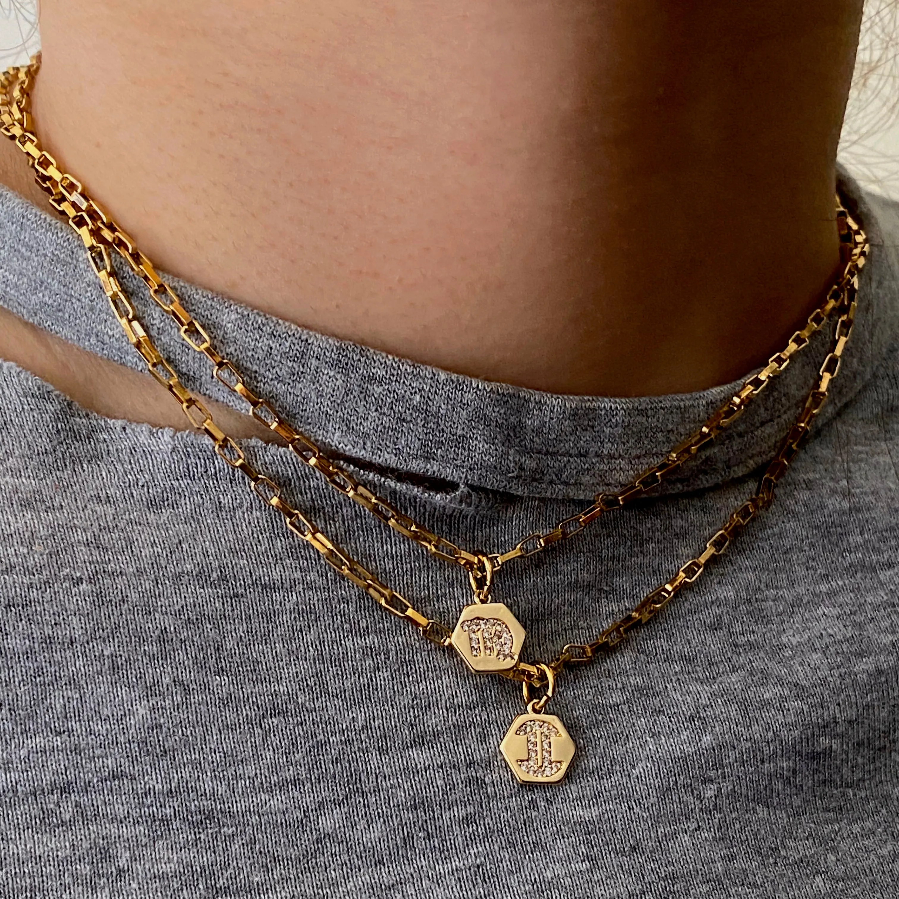 Mini Zodiac Necklace