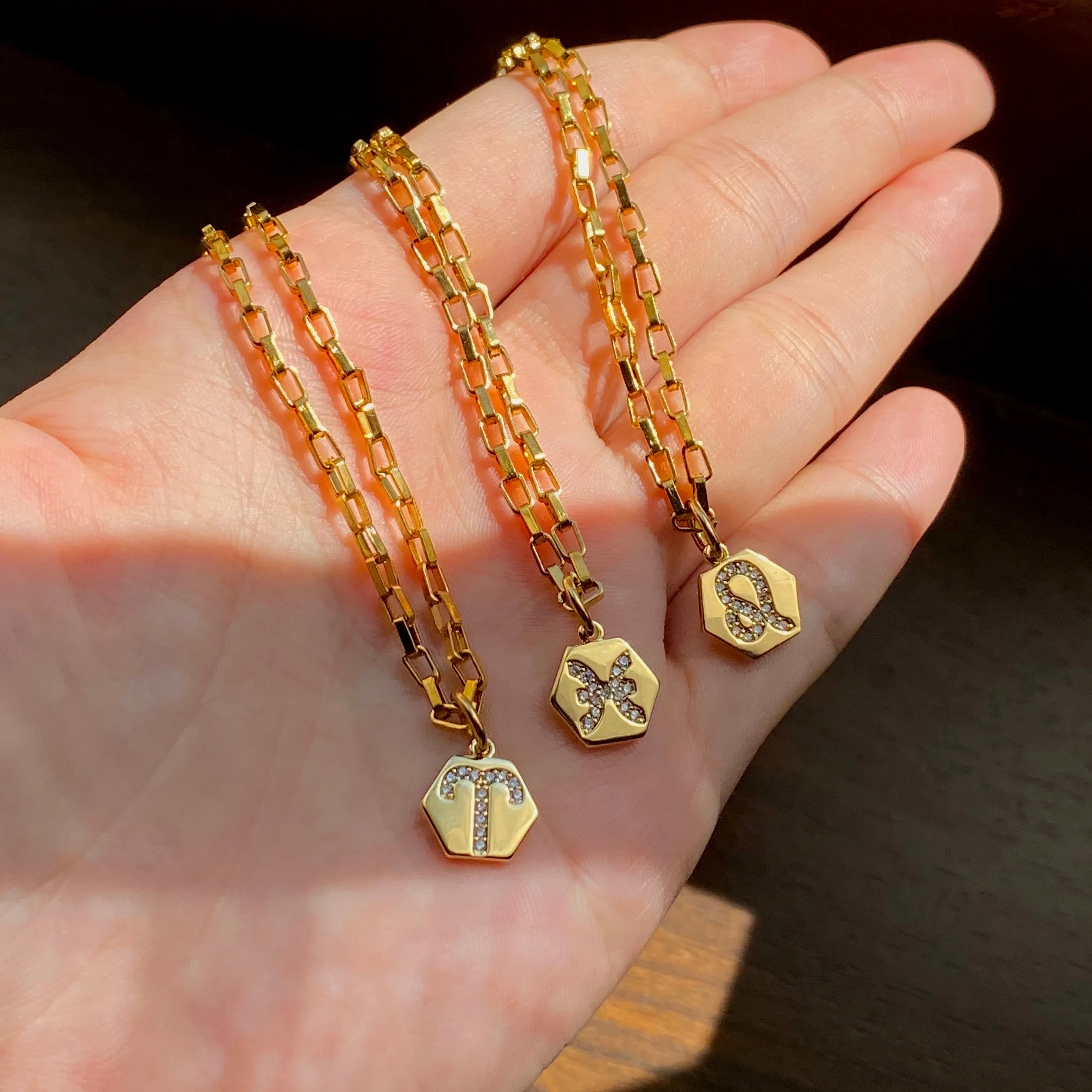 Mini Zodiac Necklace