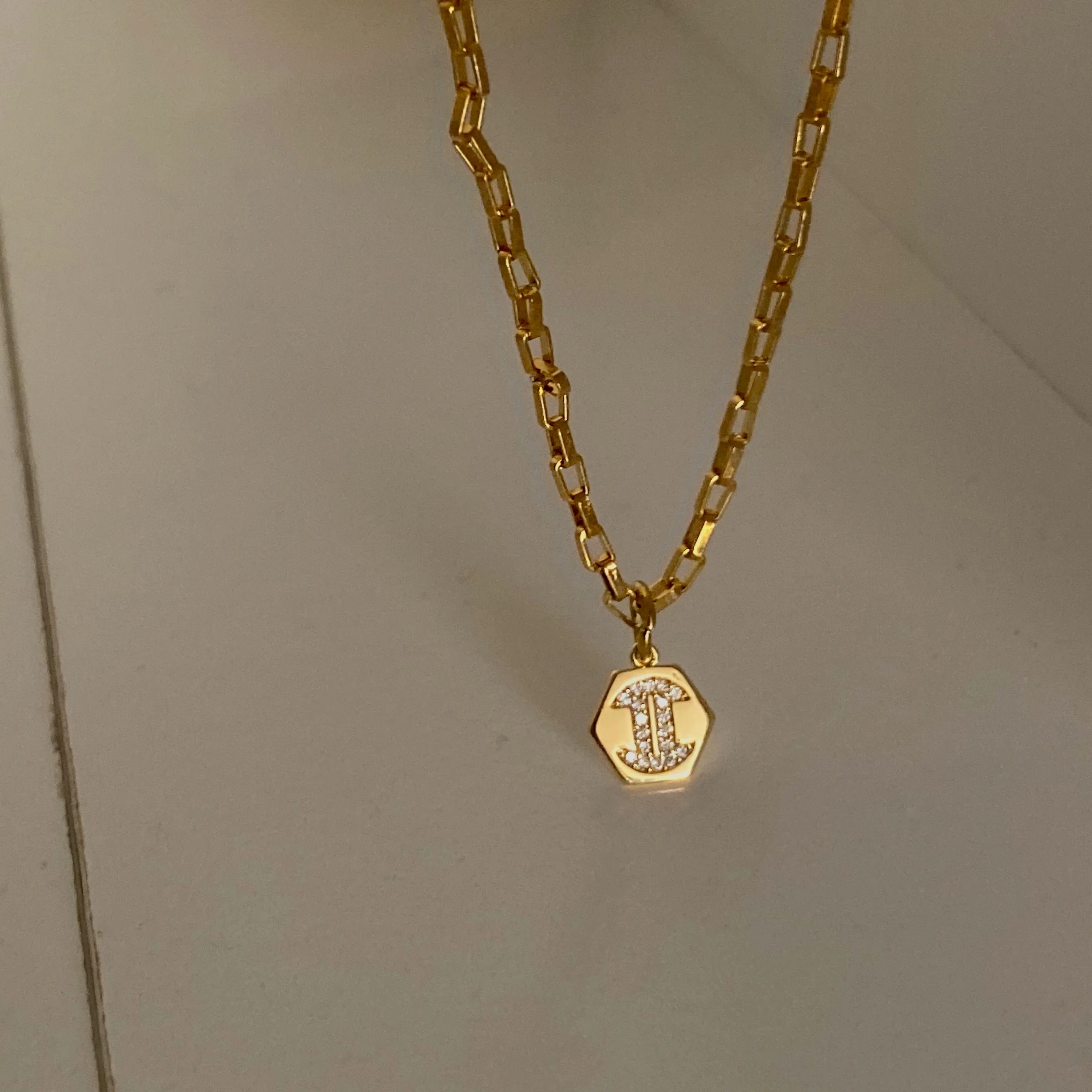 Mini Zodiac Necklace
