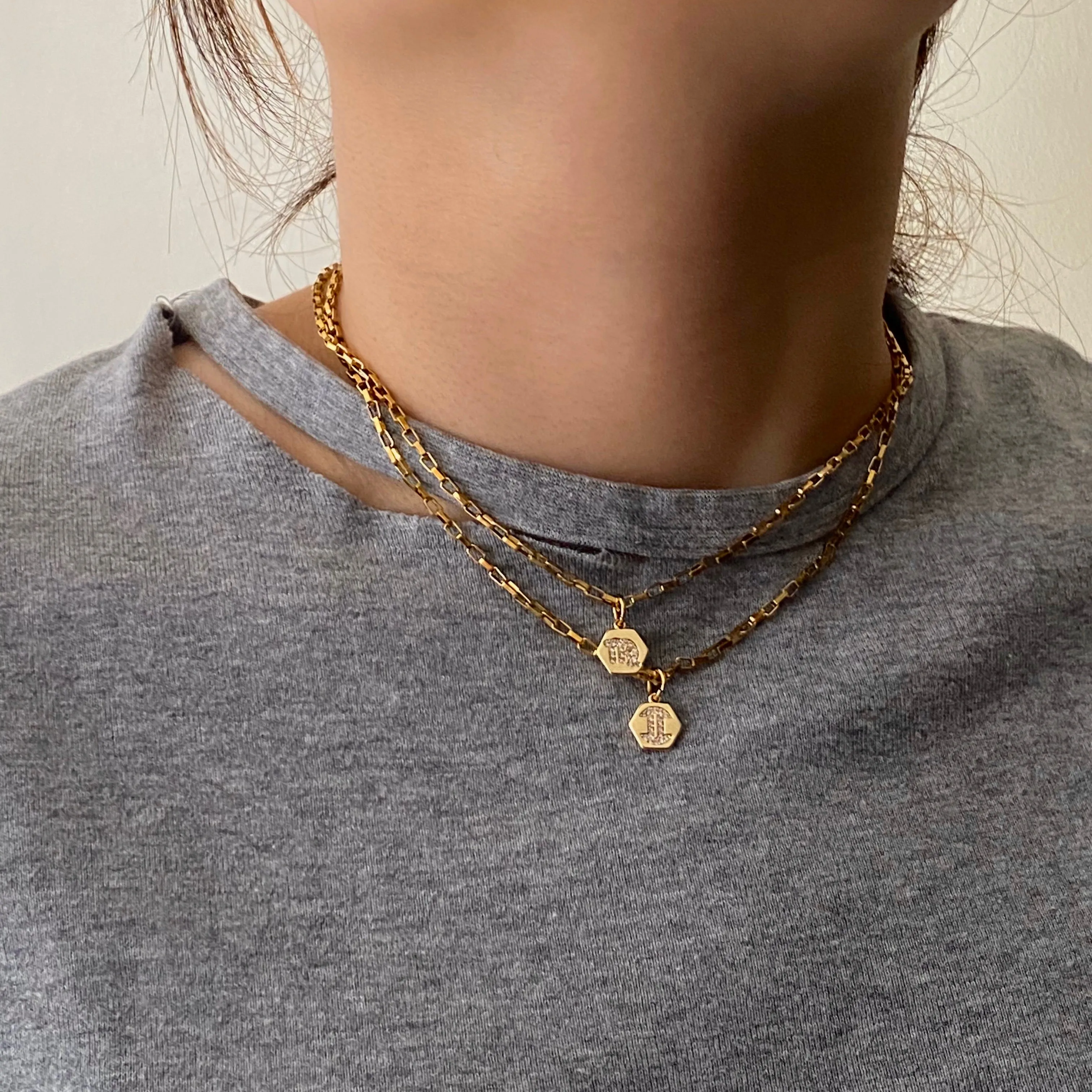 Mini Zodiac Necklace