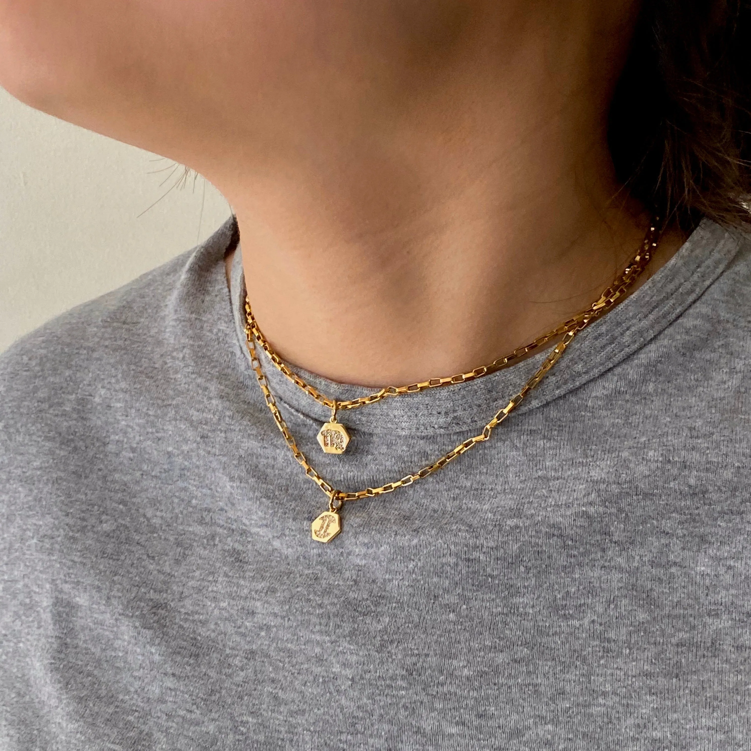 Mini Zodiac Necklace