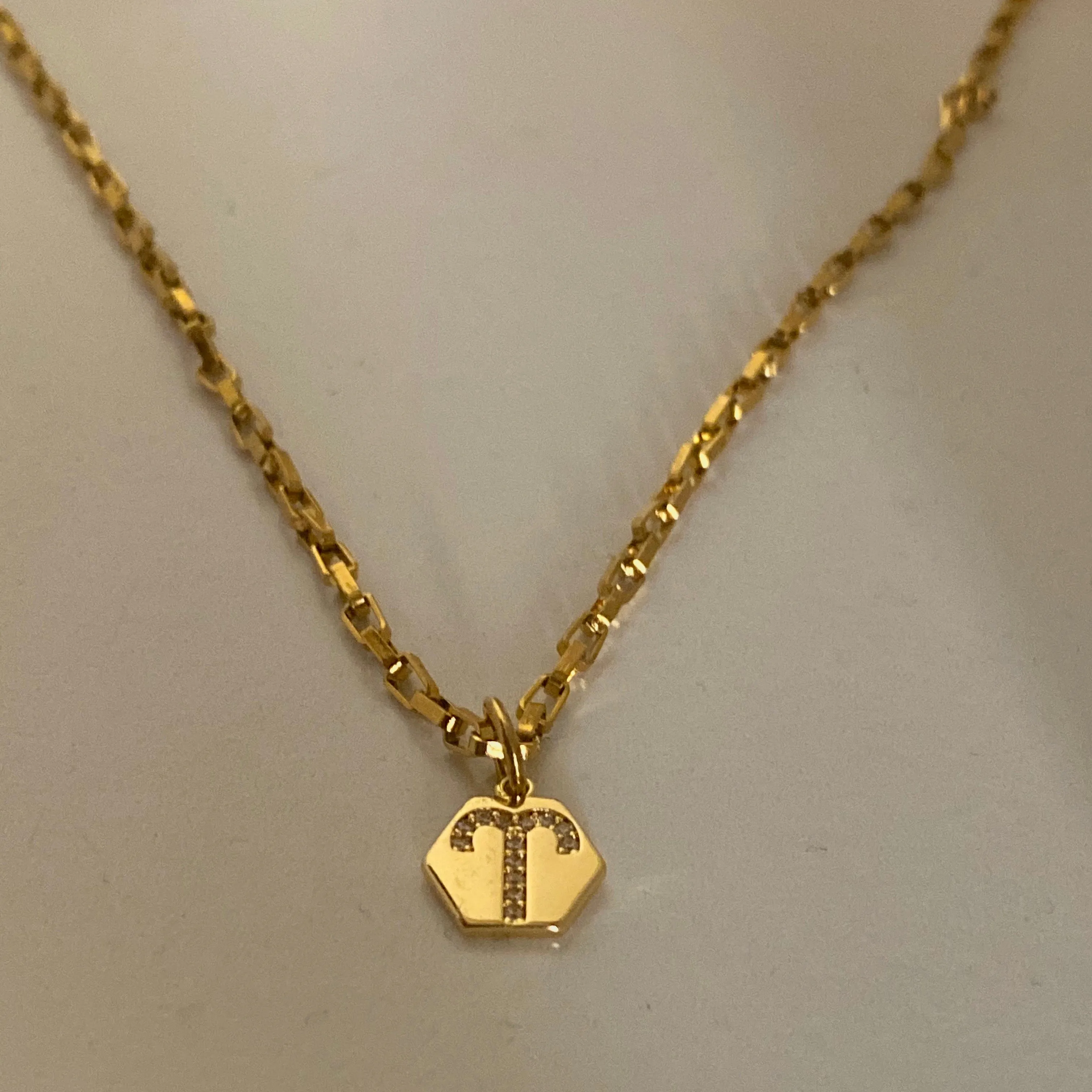 Mini Zodiac Necklace