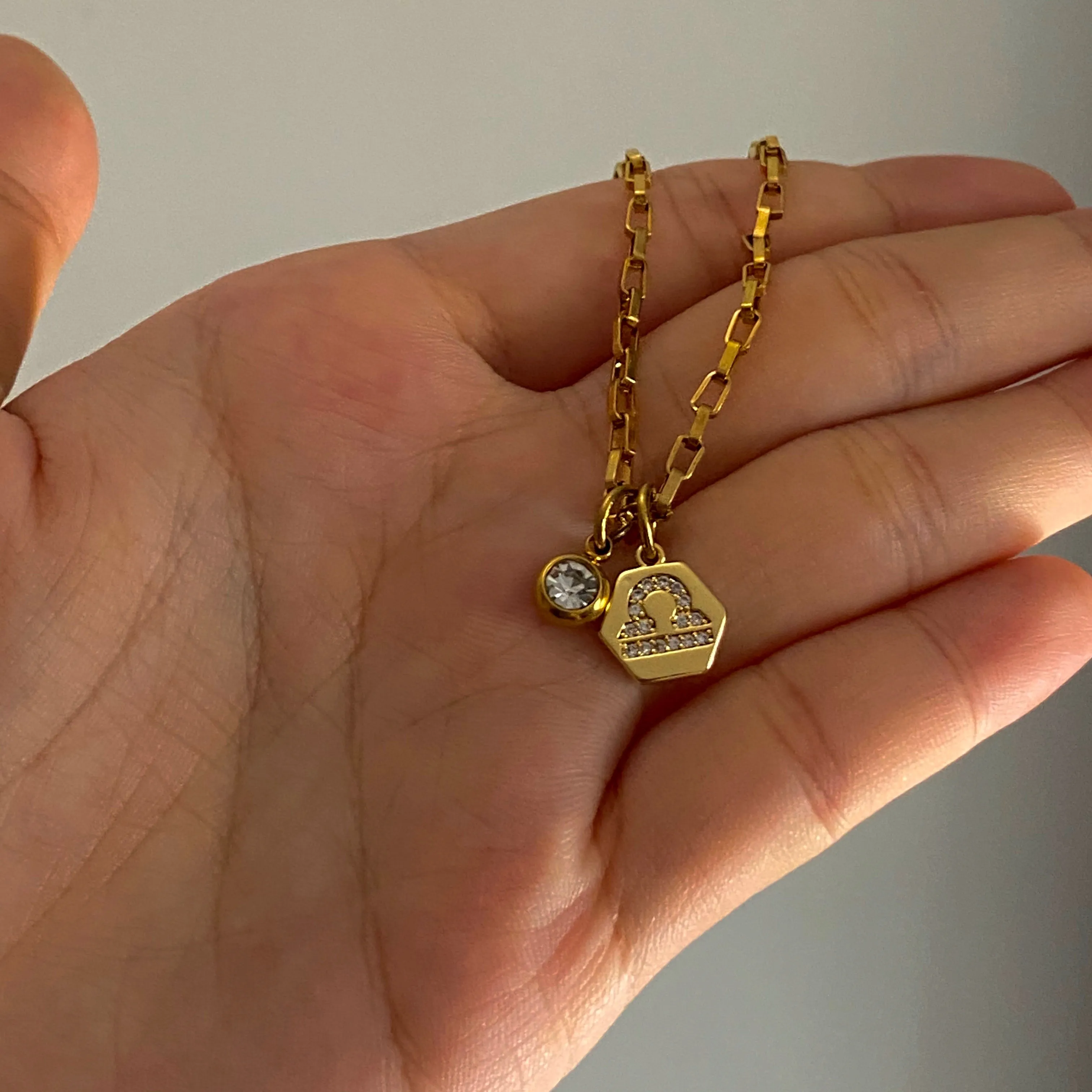 Mini Zodiac Necklace