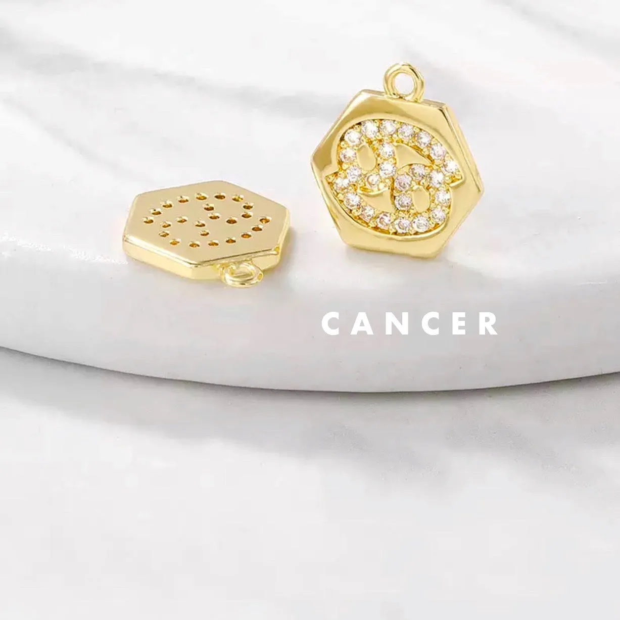 Mini Zodiac Necklace
