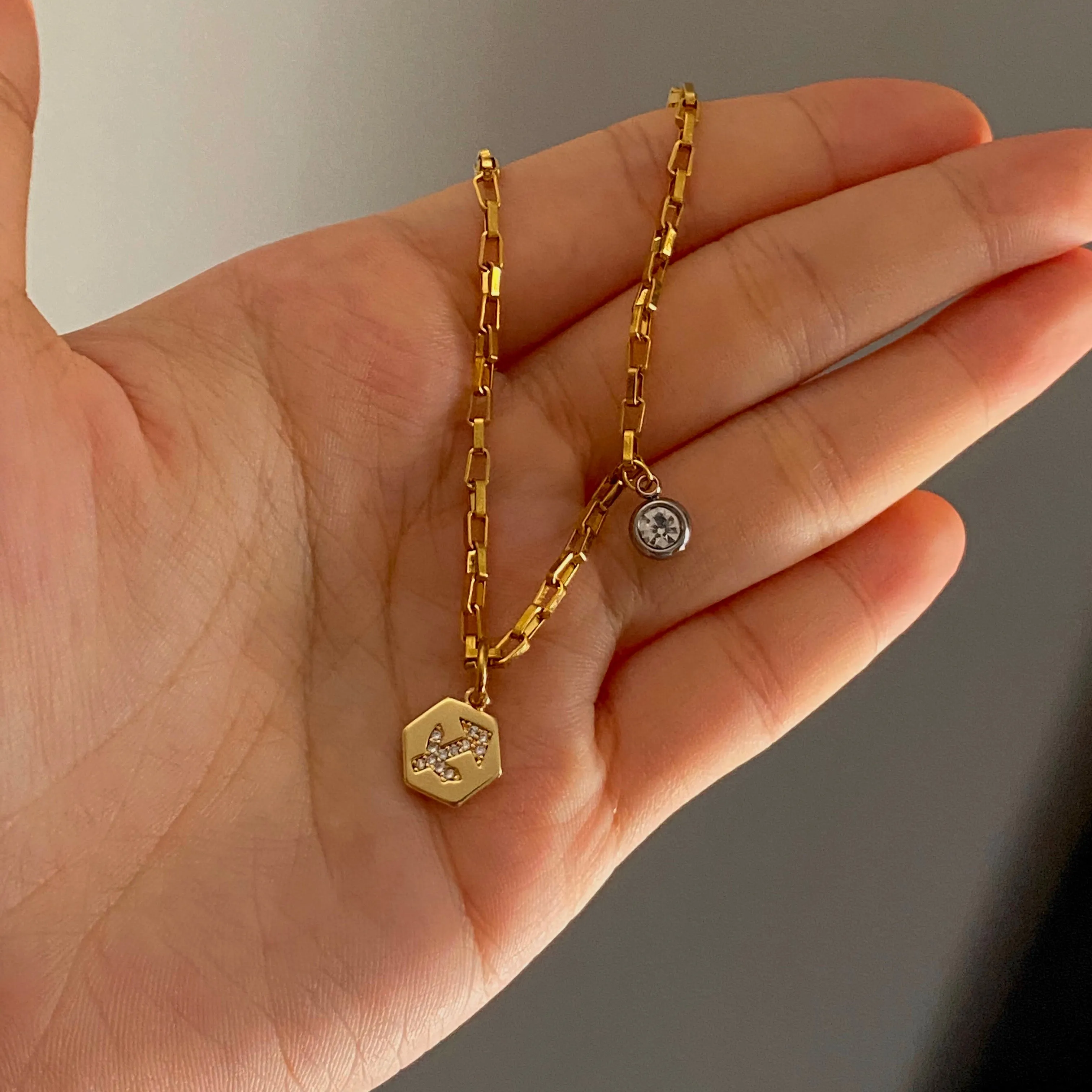 Mini Zodiac Necklace