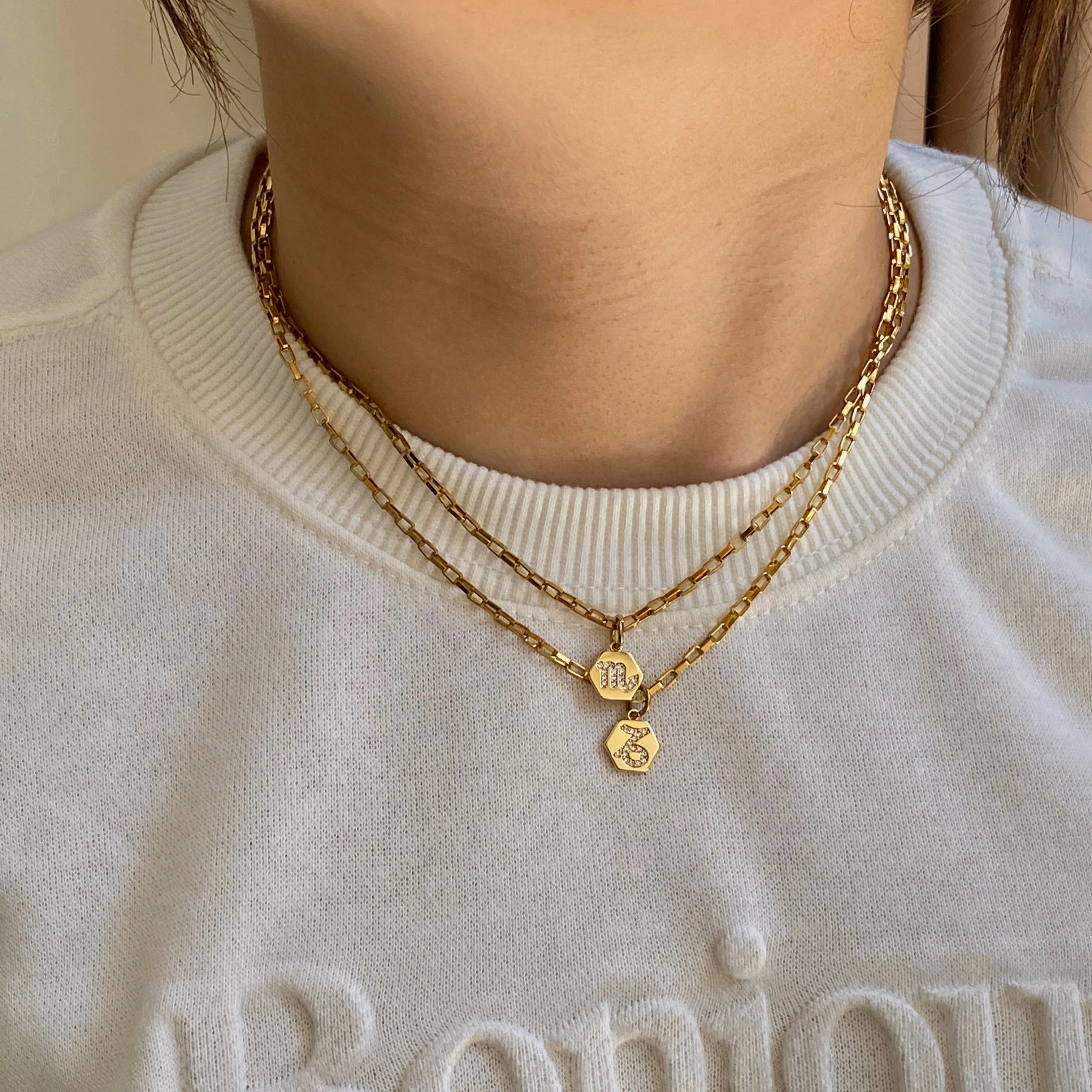 Mini Zodiac Necklace
