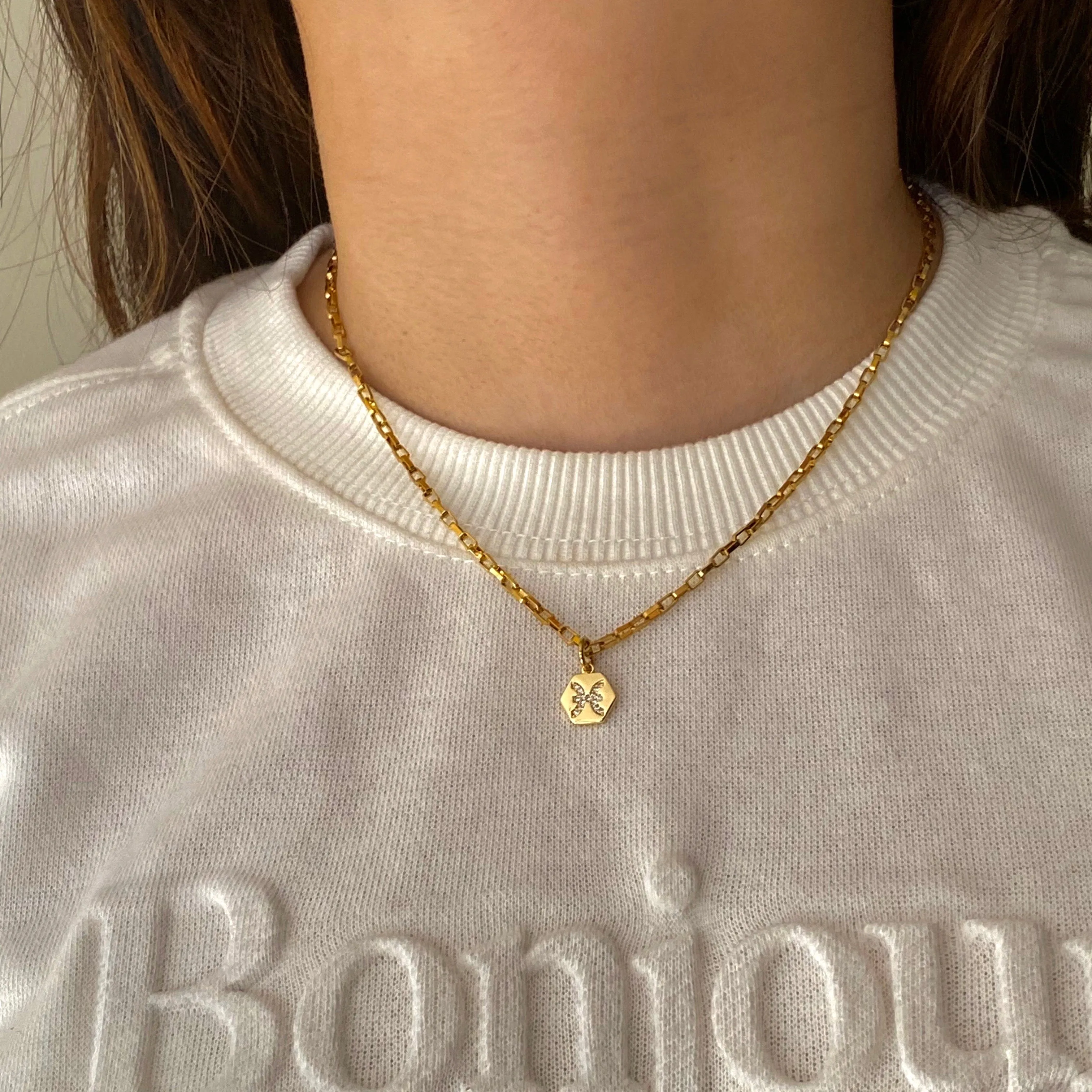 Mini Zodiac Necklace