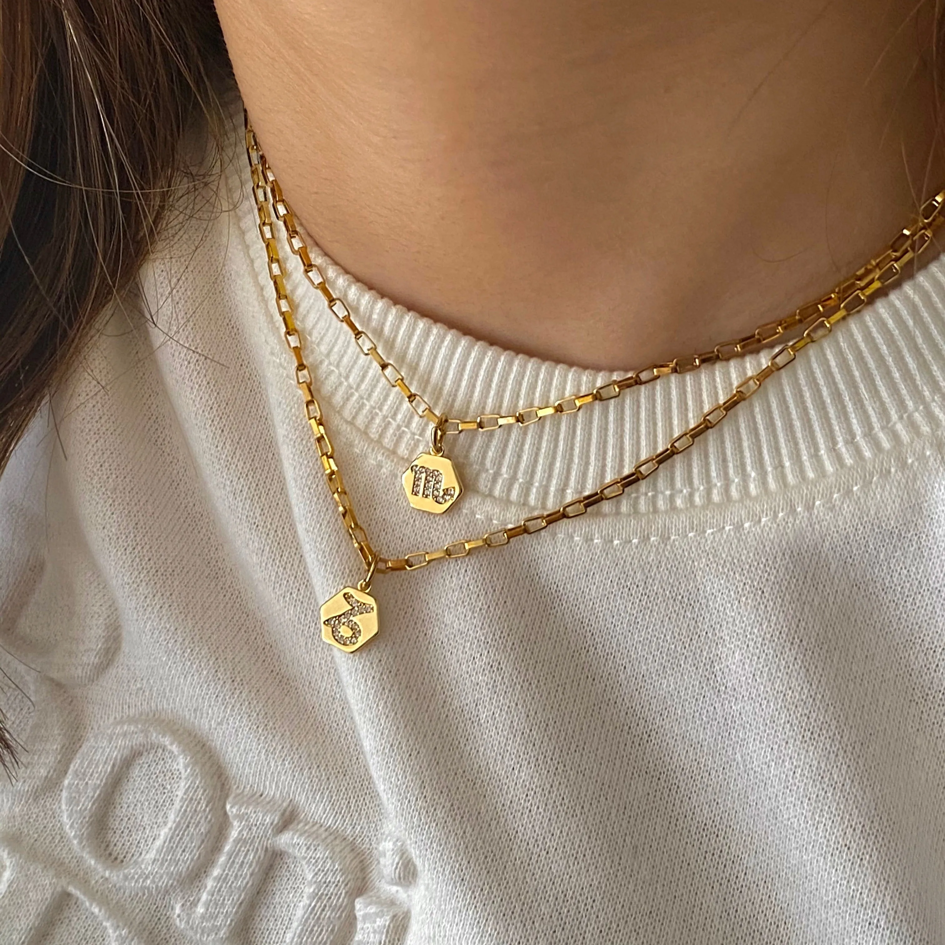 Mini Zodiac Necklace