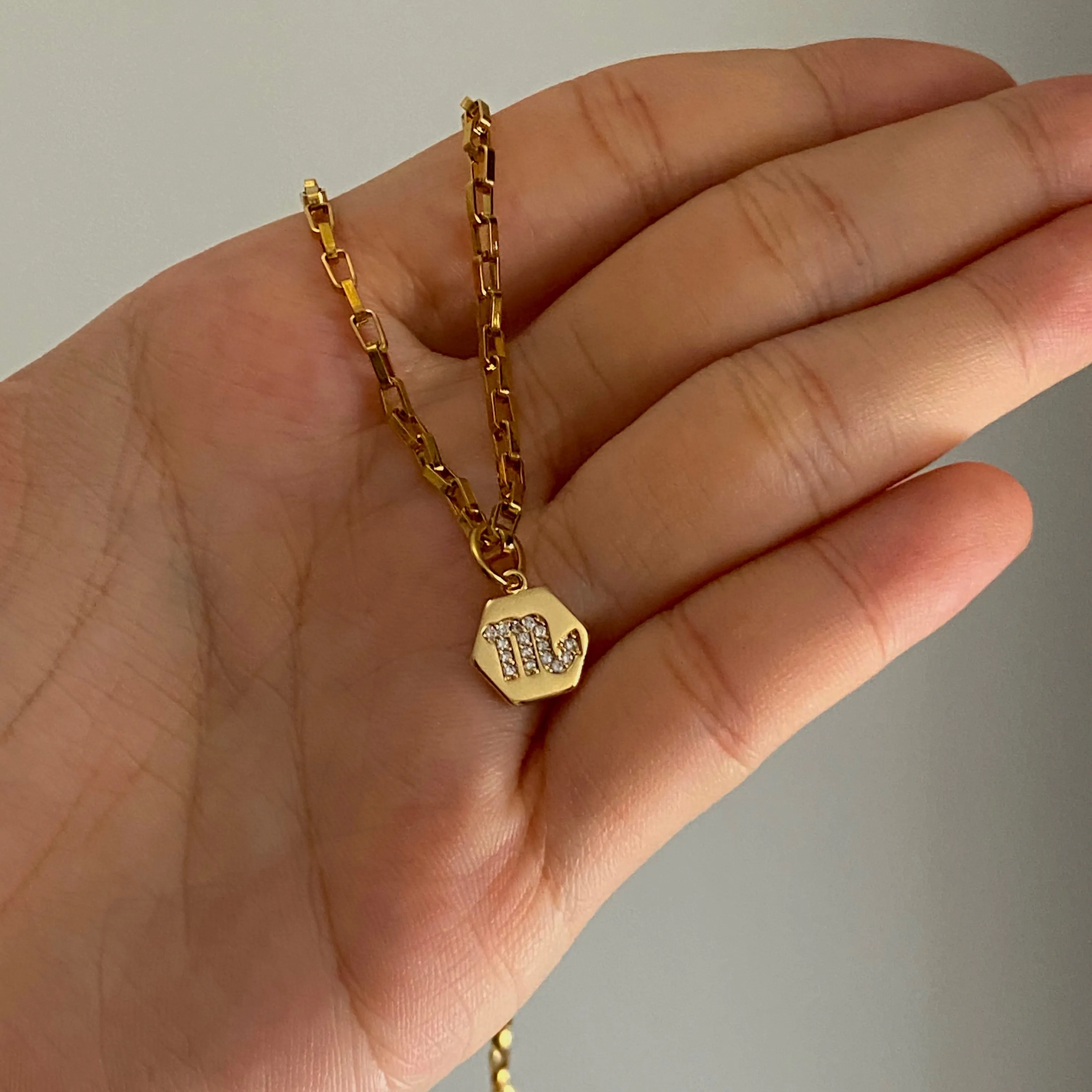 Mini Zodiac Necklace