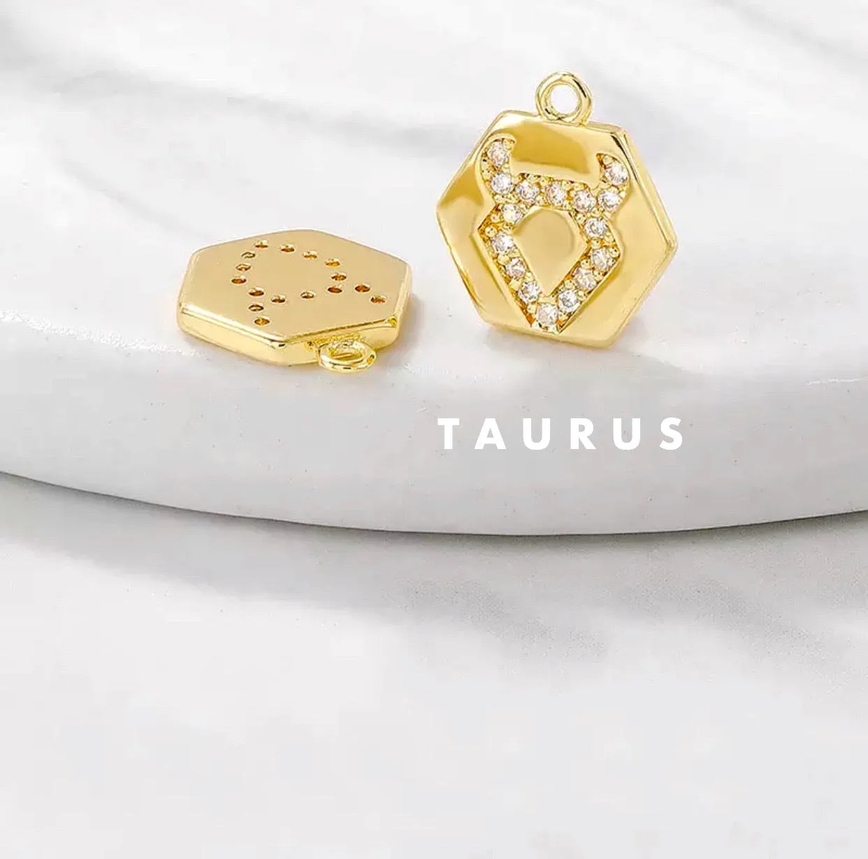 Mini Zodiac Necklace