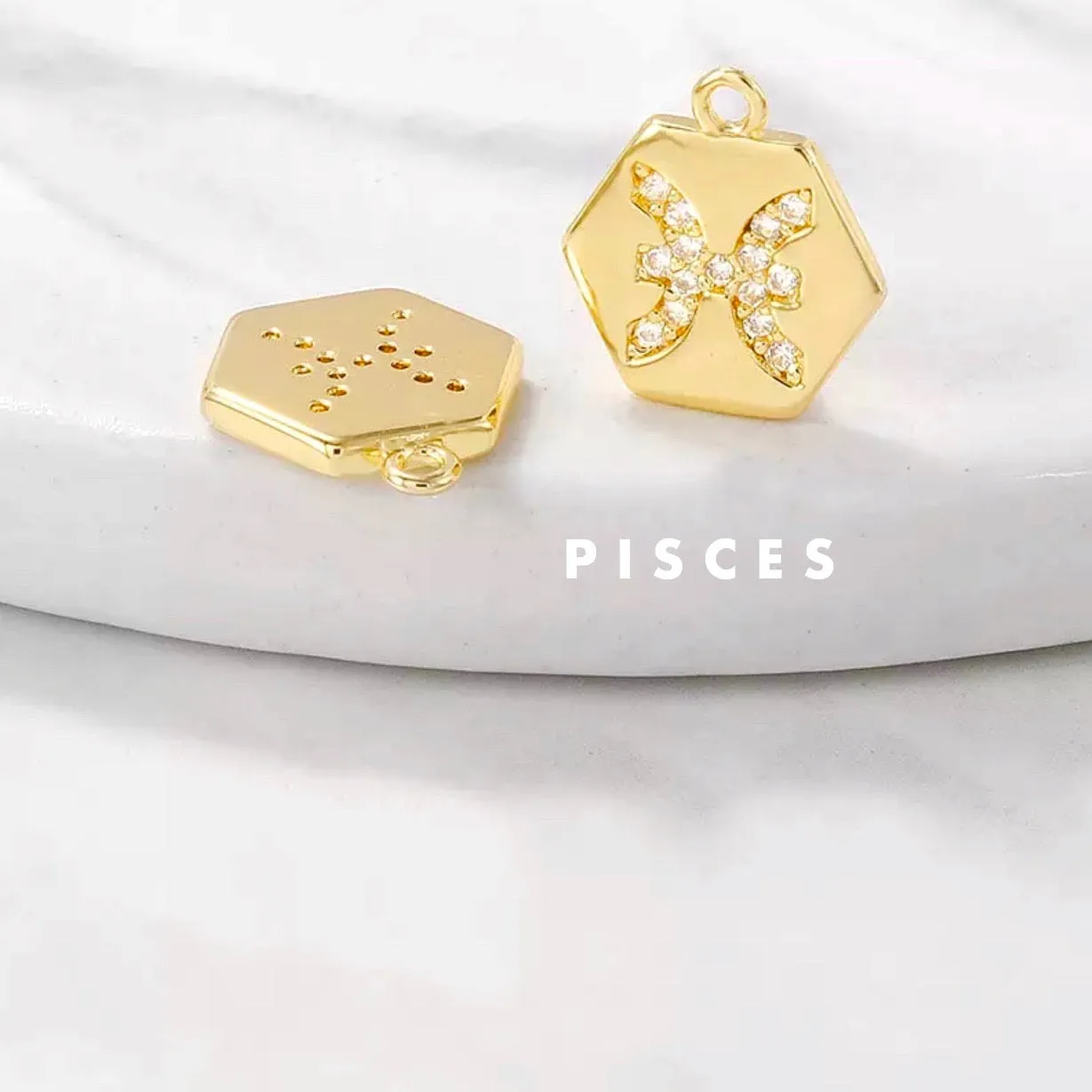 Mini Zodiac Necklace