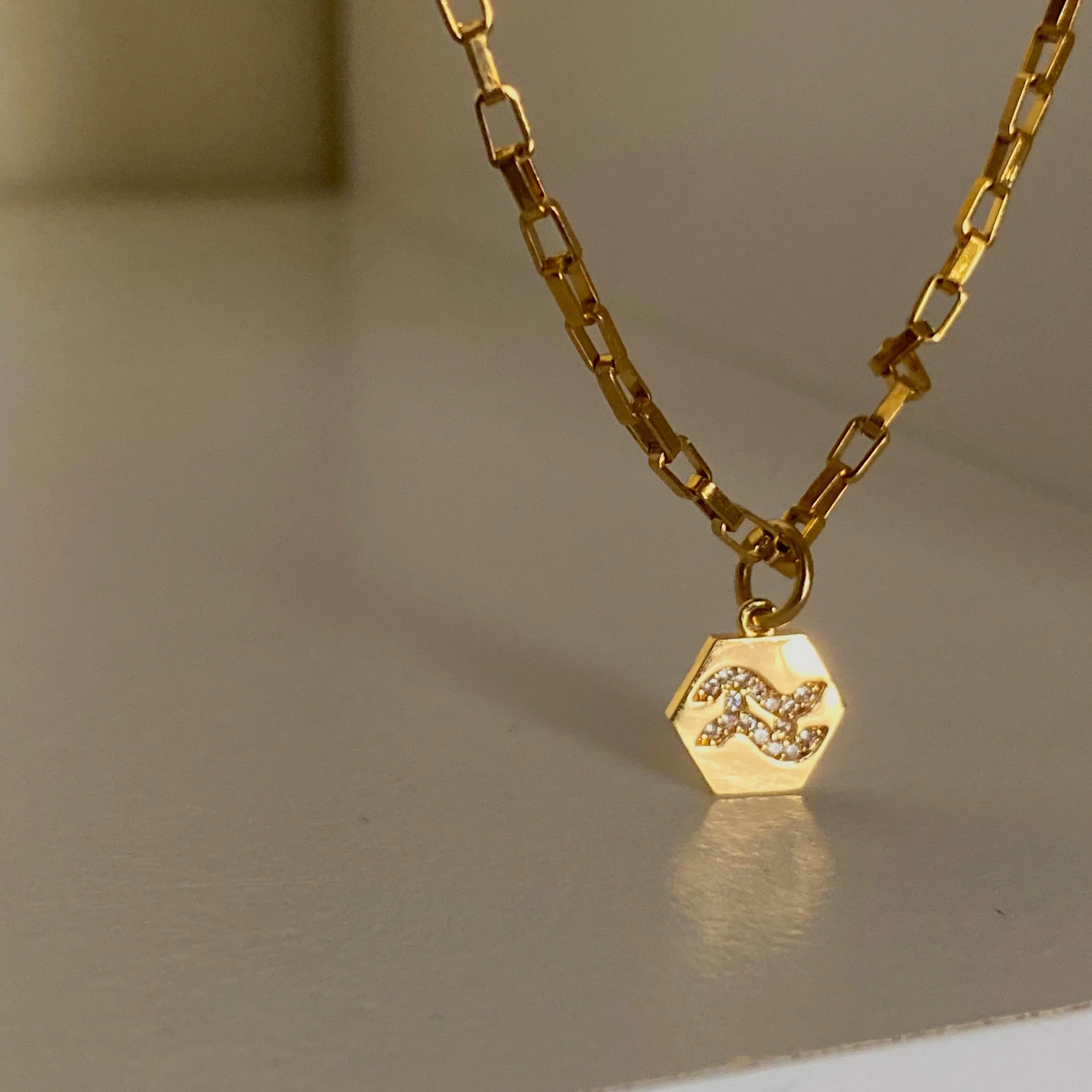 Mini Zodiac Necklace
