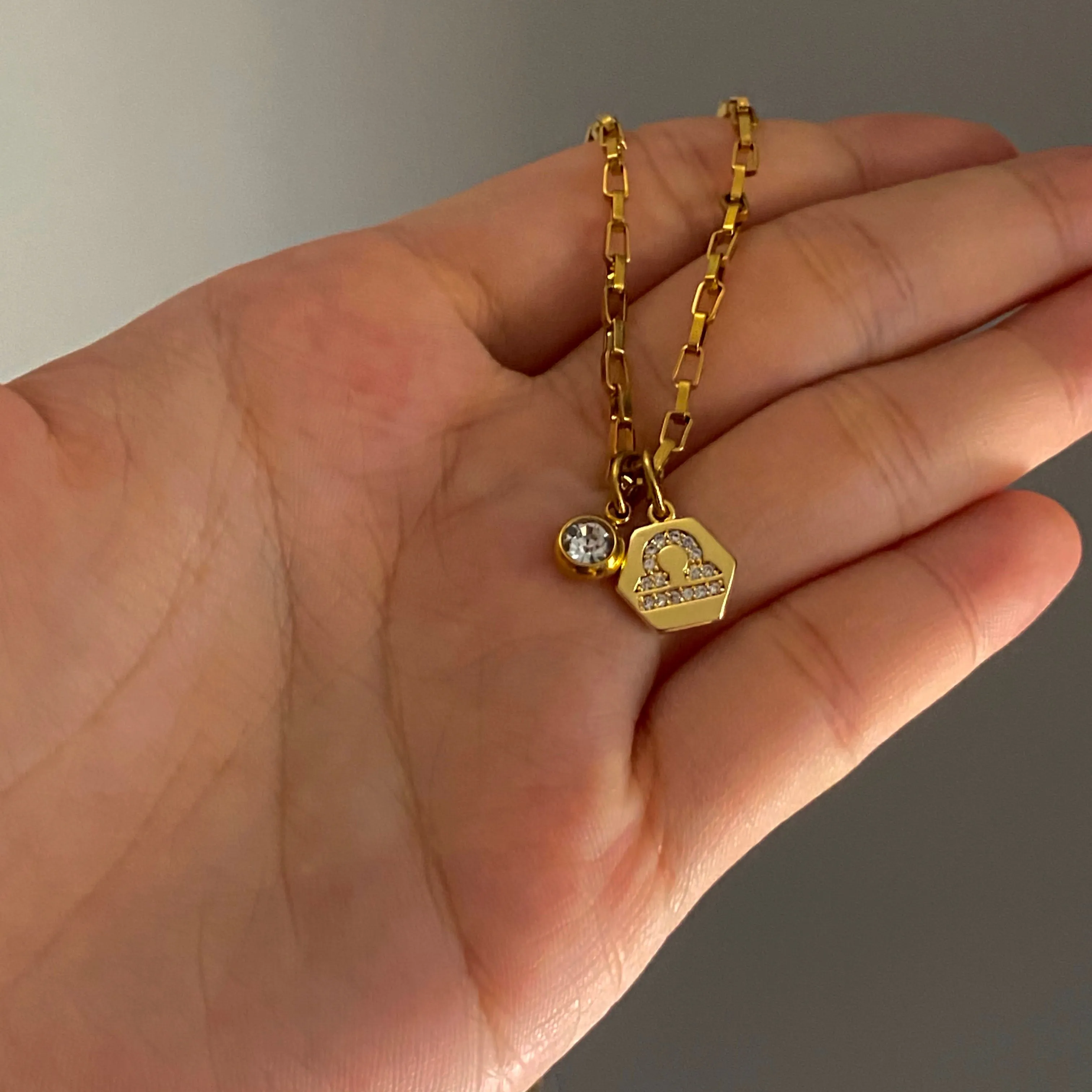 Mini Zodiac Necklace