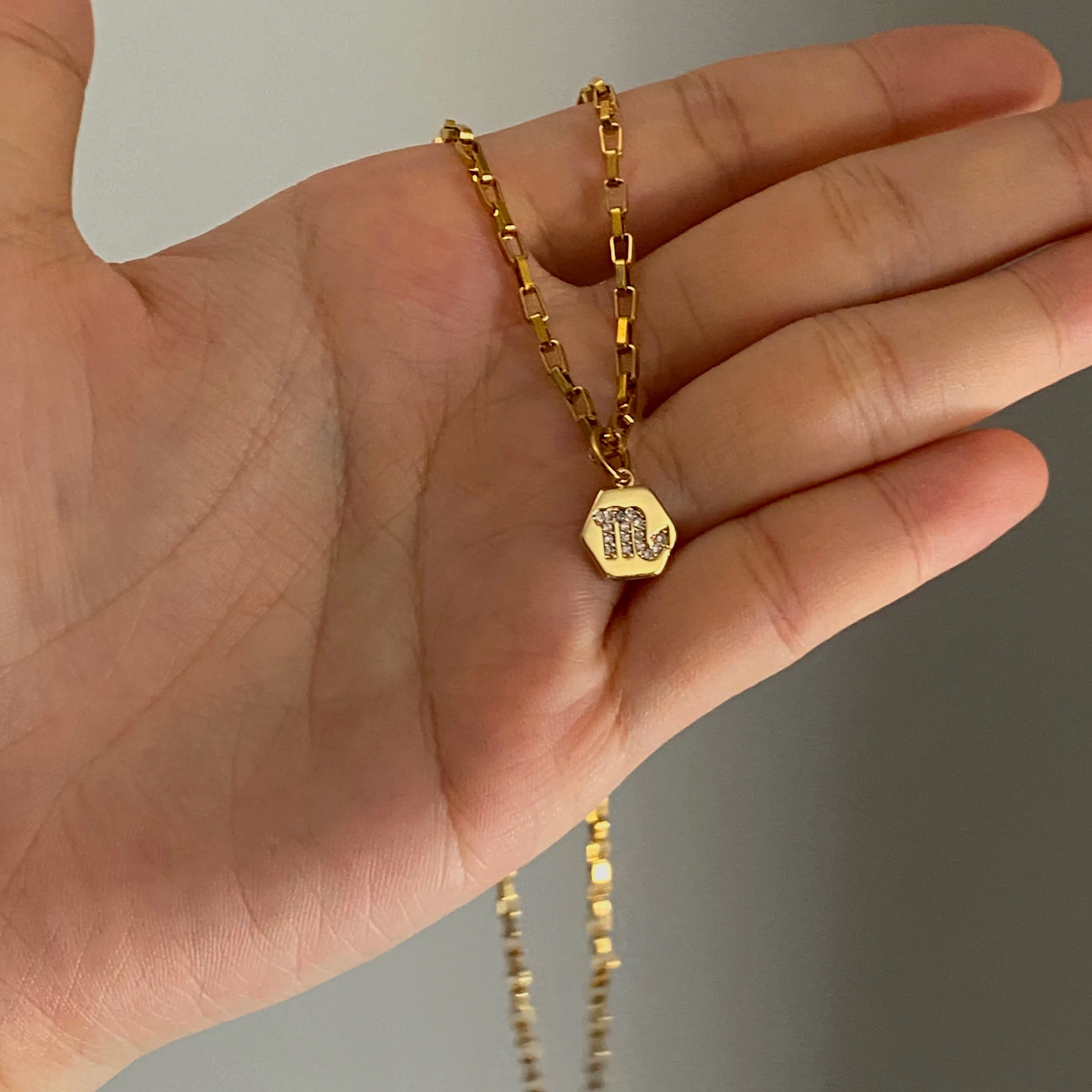 Mini Zodiac Necklace