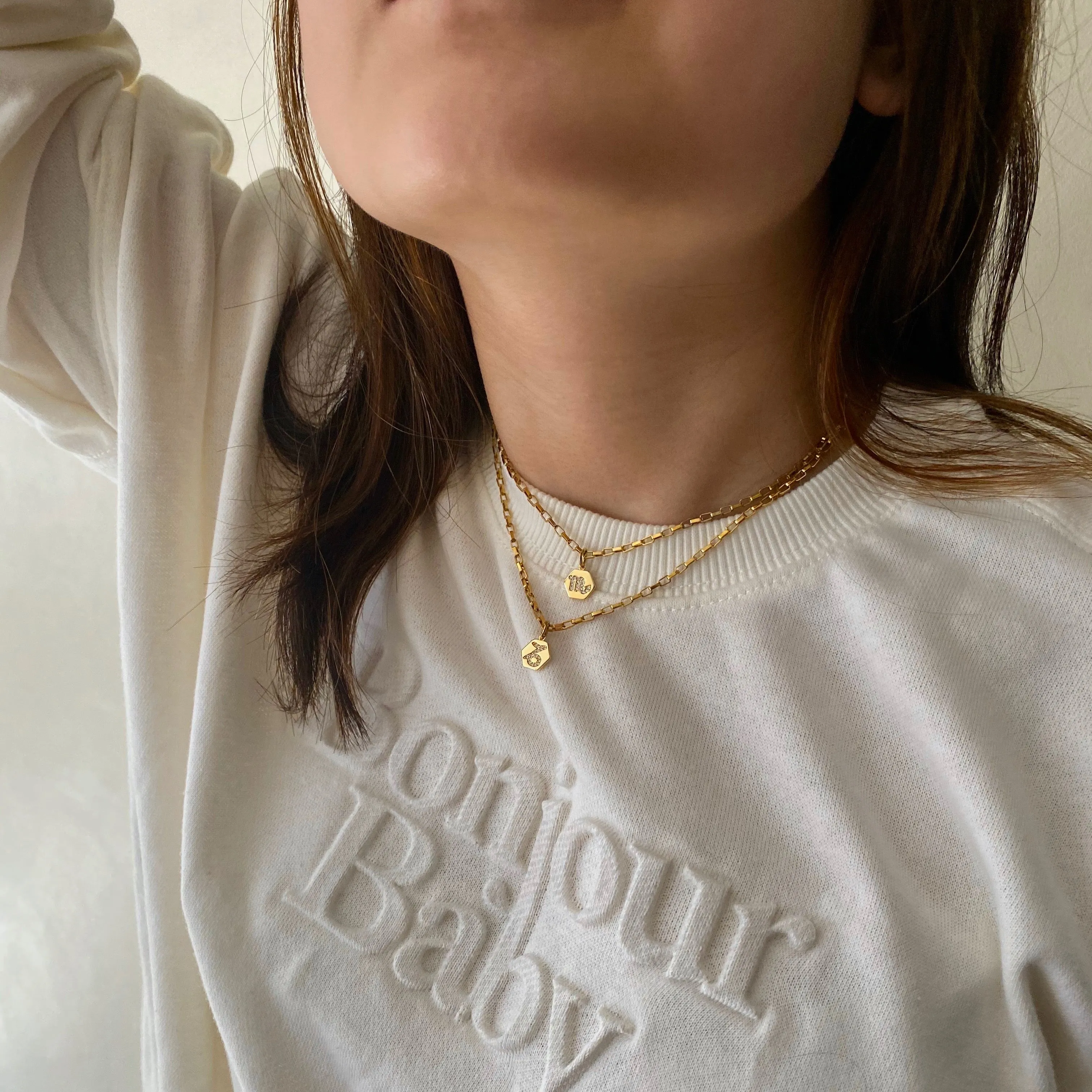 Mini Zodiac Necklace