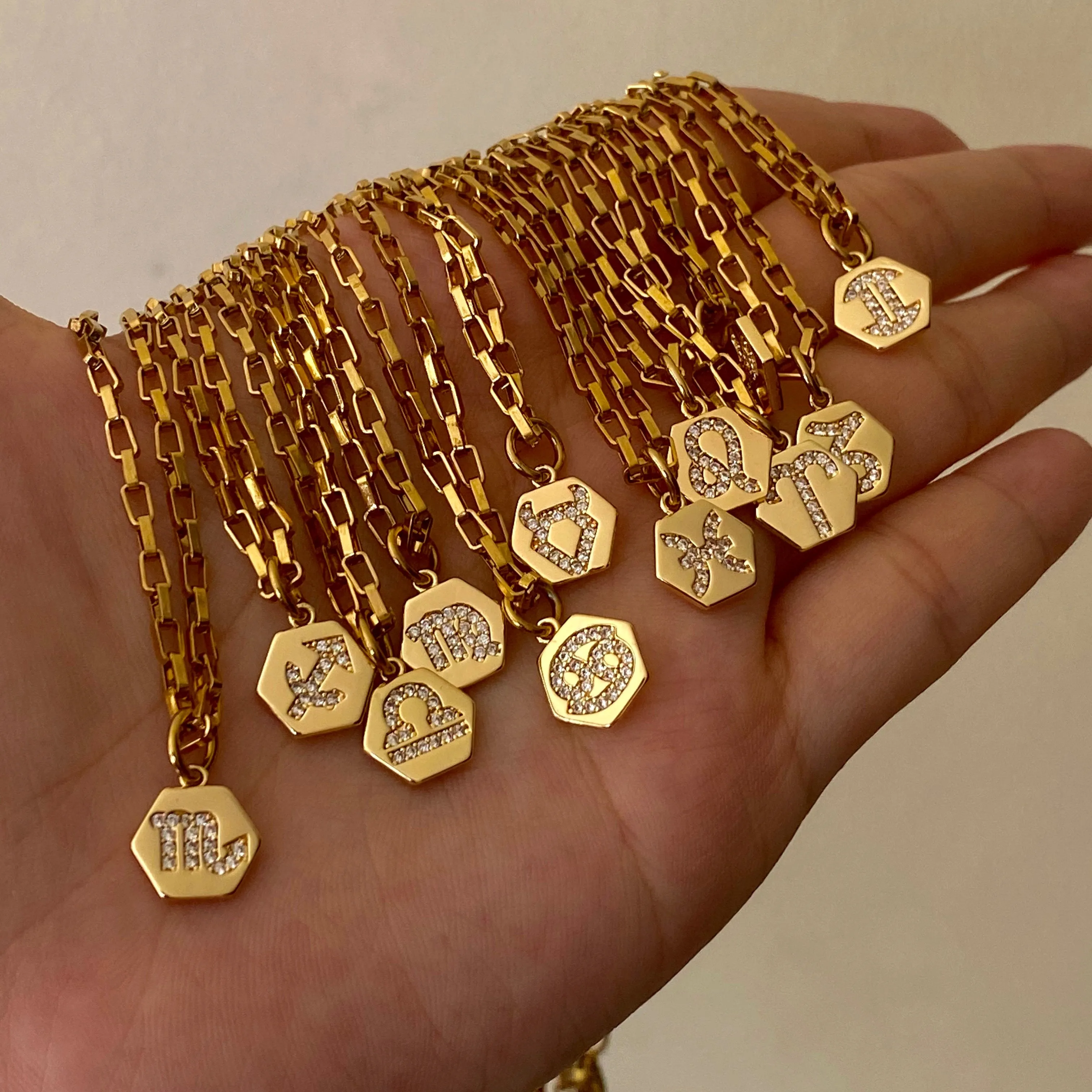 Mini Zodiac Necklace