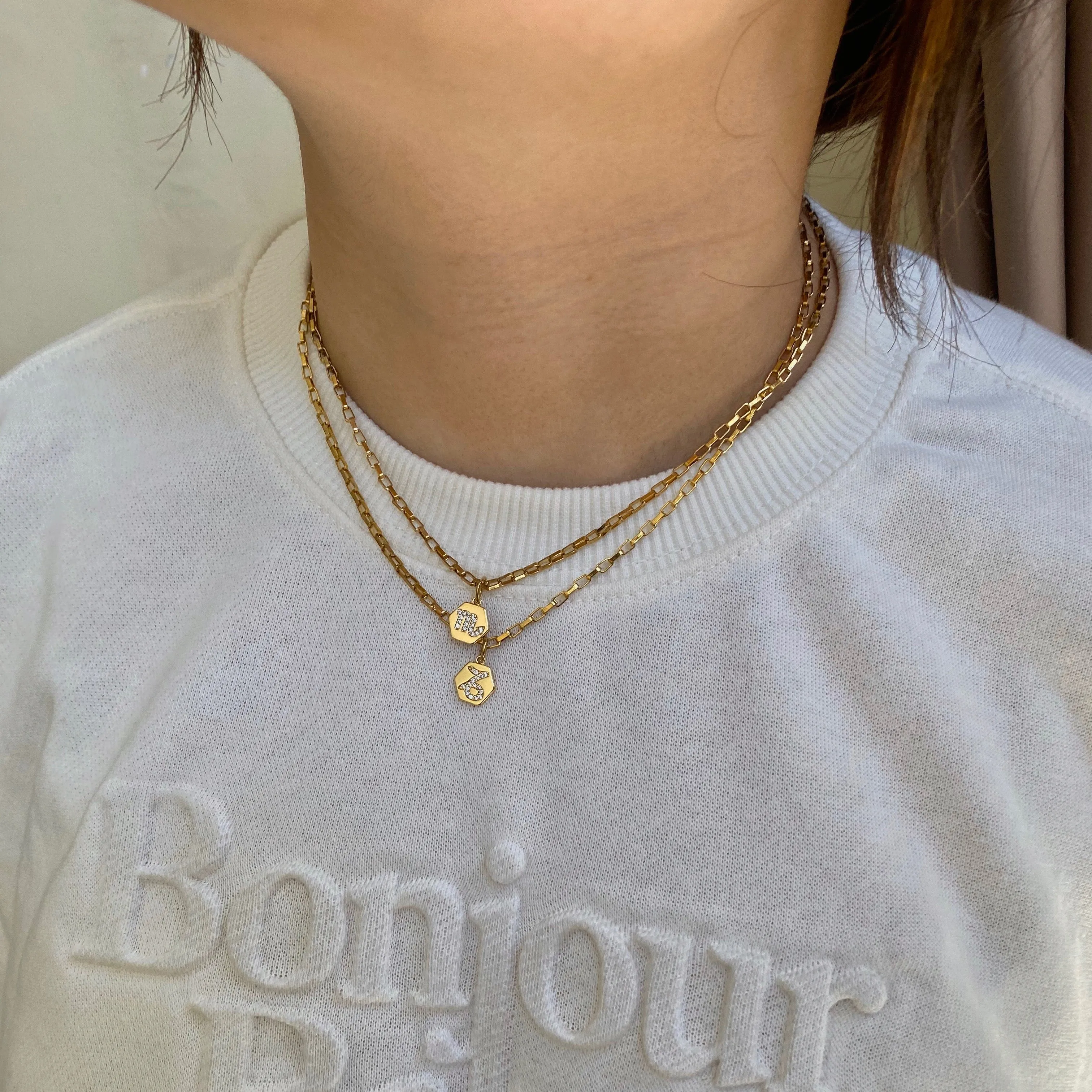 Mini Zodiac Necklace