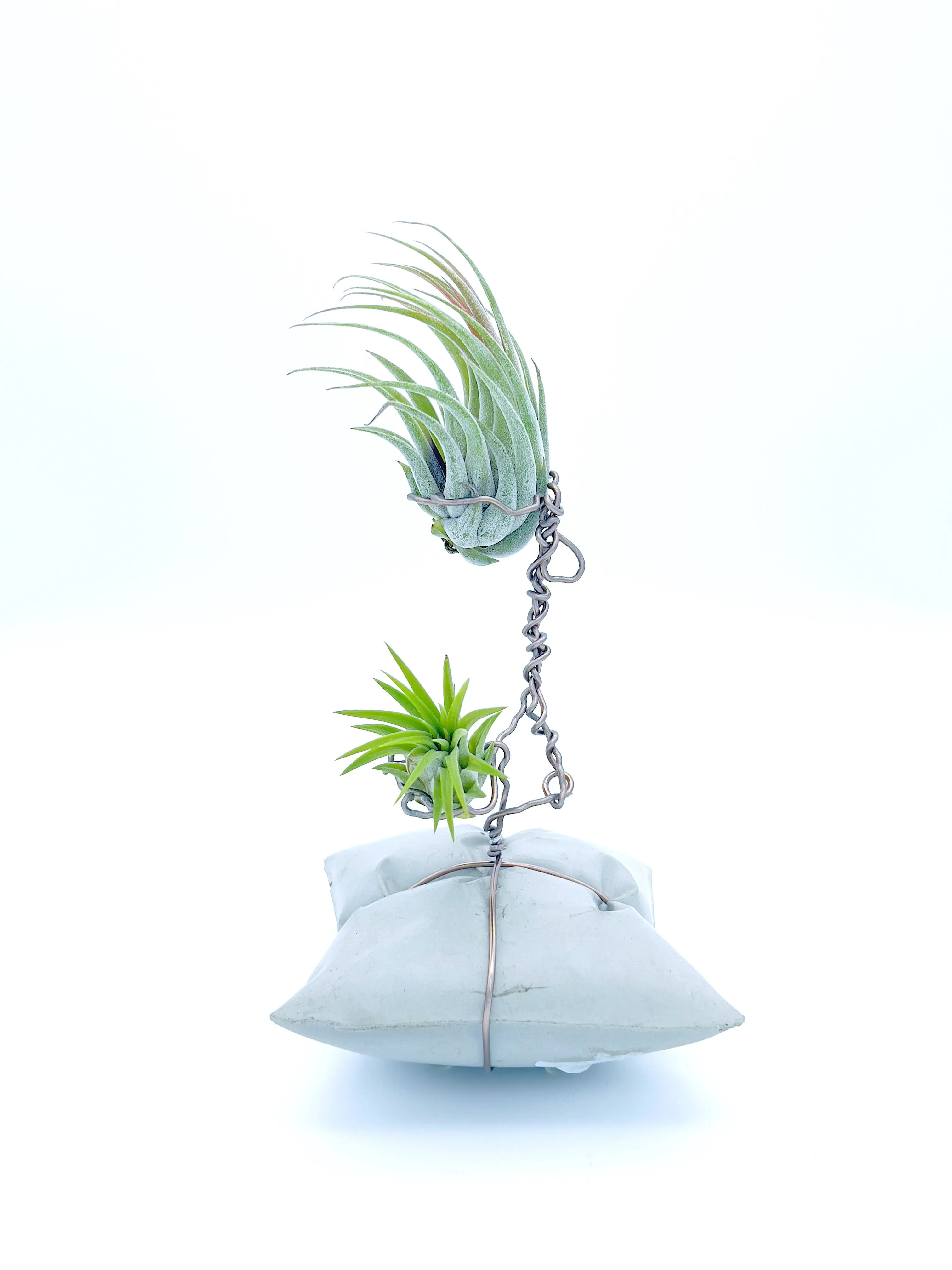 Plants, Pots and Air Plant Holders