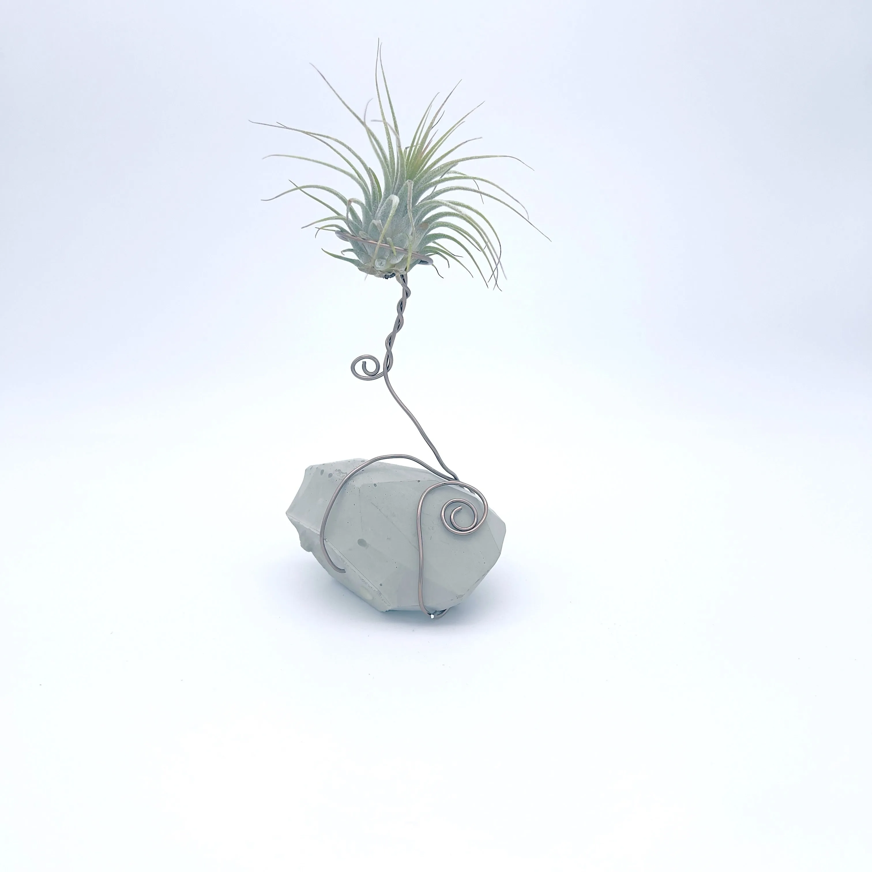 Plants, Pots and Air Plant Holders