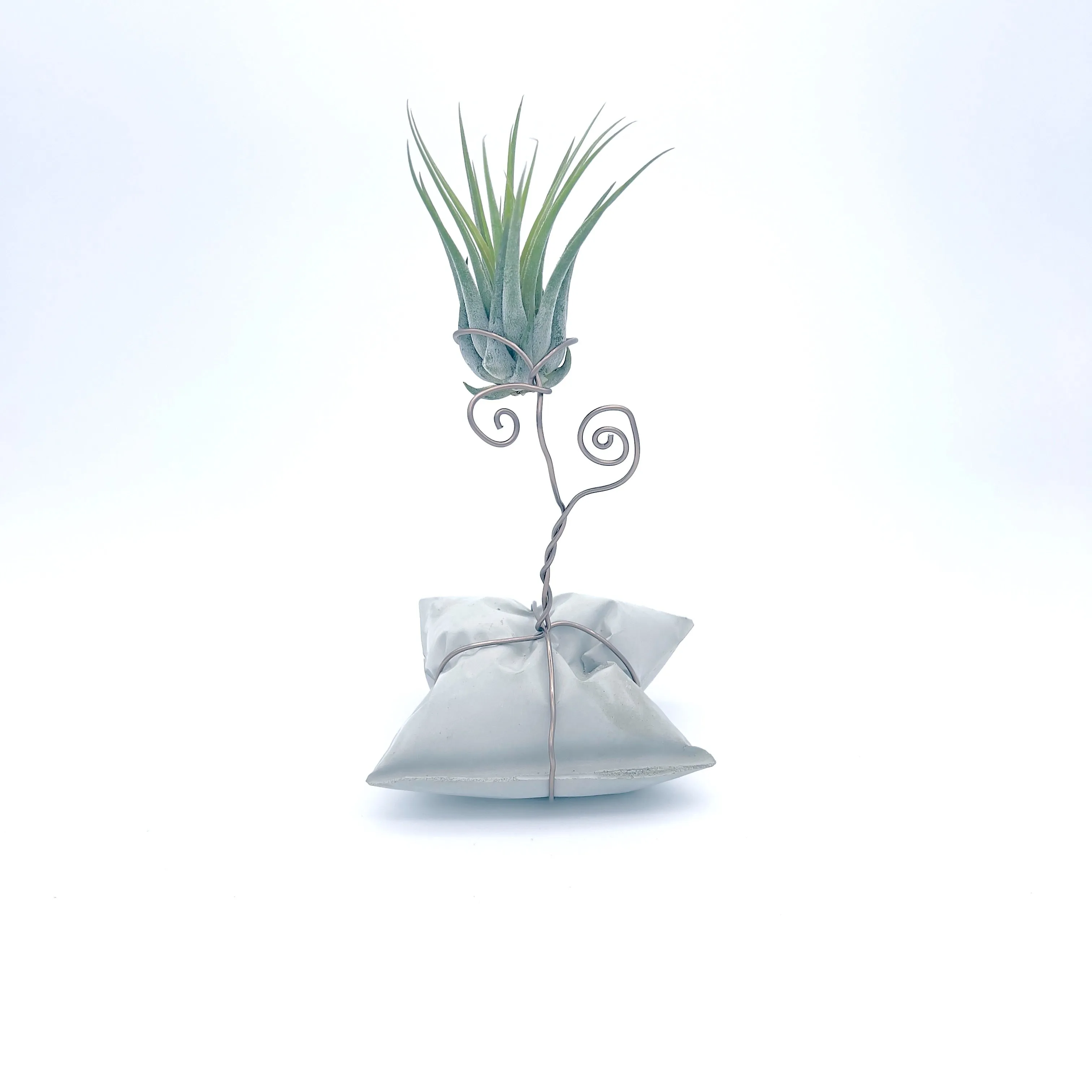 Plants, Pots and Air Plant Holders