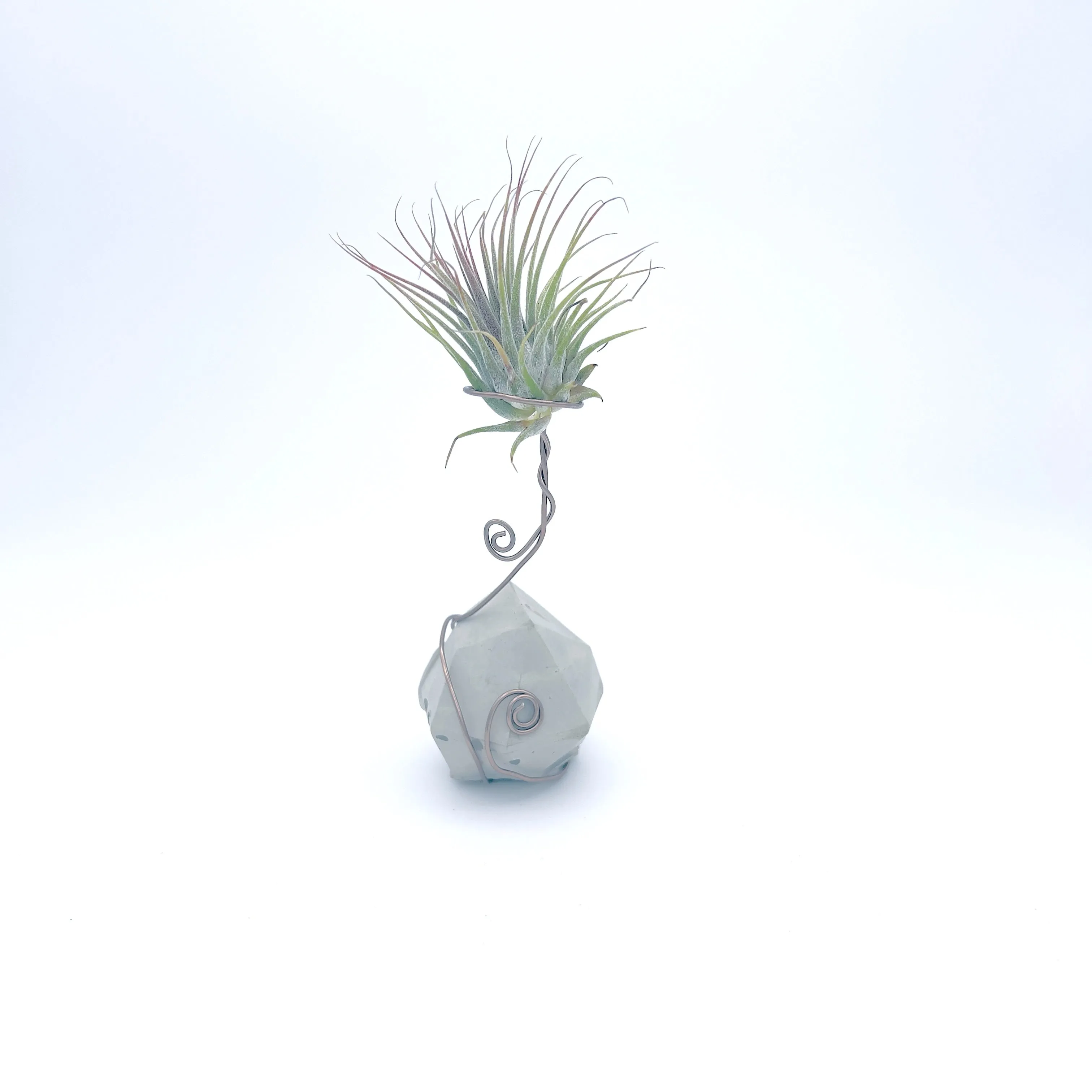 Plants, Pots and Air Plant Holders