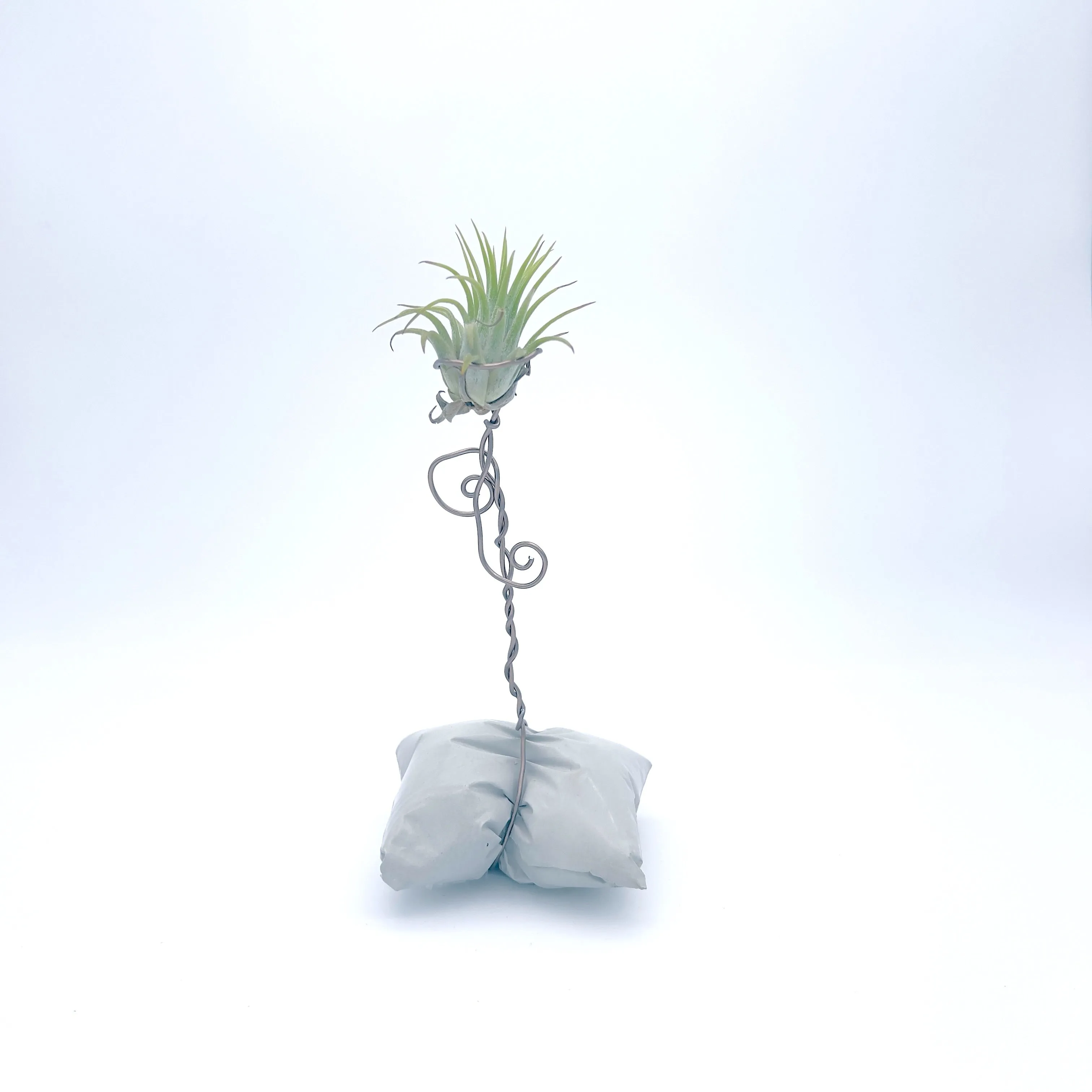 Plants, Pots and Air Plant Holders