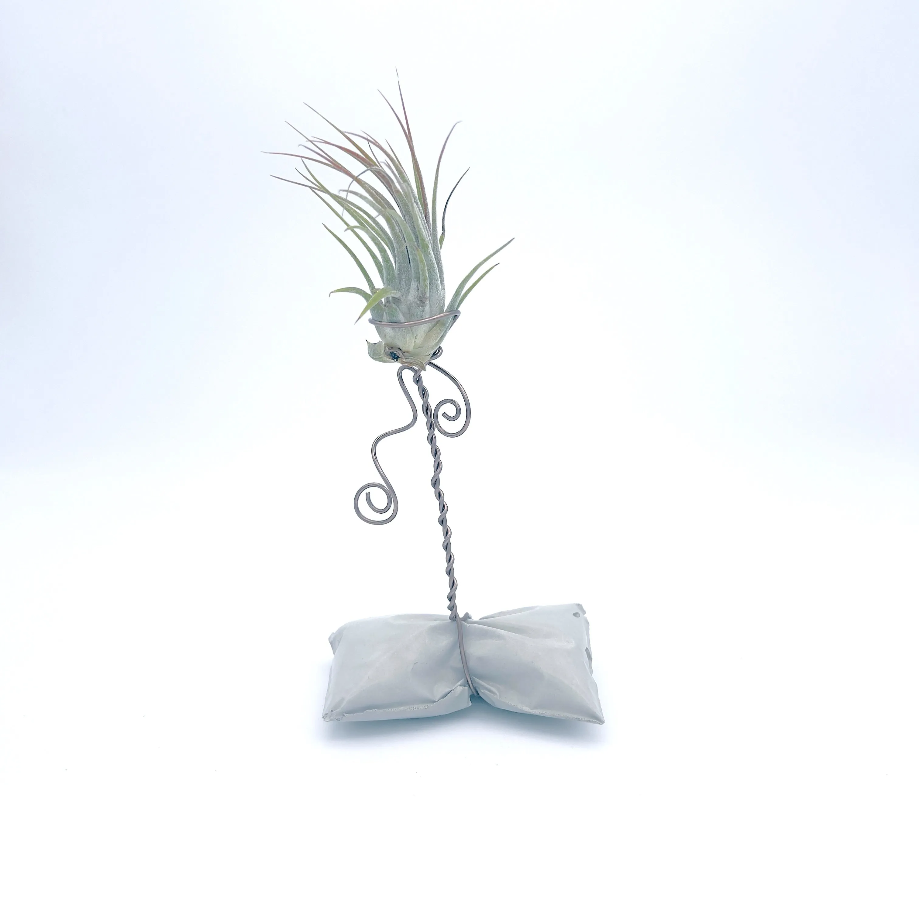 Plants, Pots and Air Plant Holders