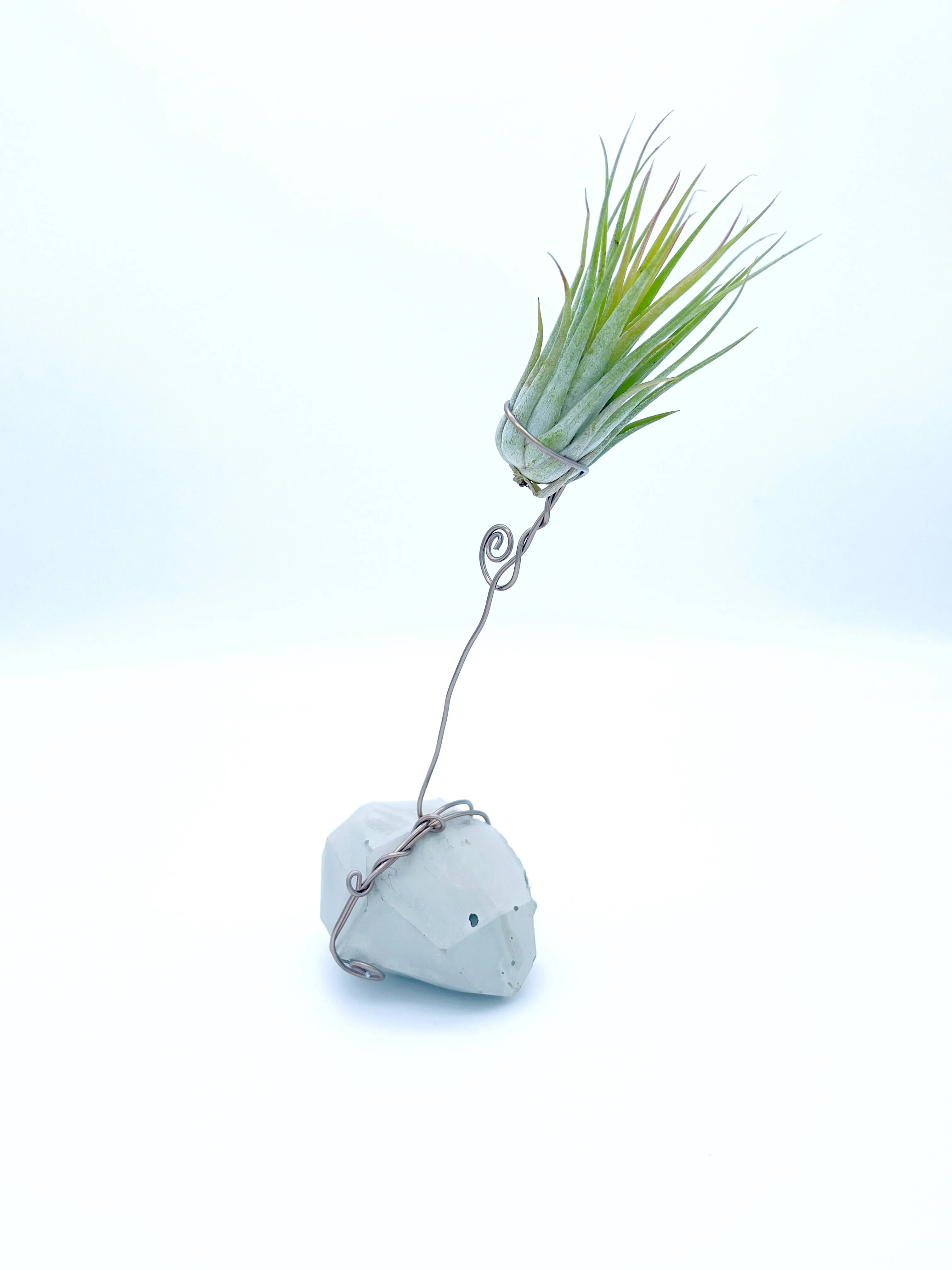 Plants, Pots and Air Plant Holders