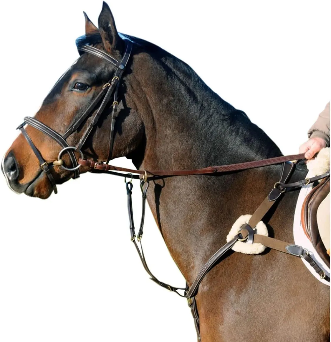 Ready to Ride V Check Breast Plate Full Size Havana