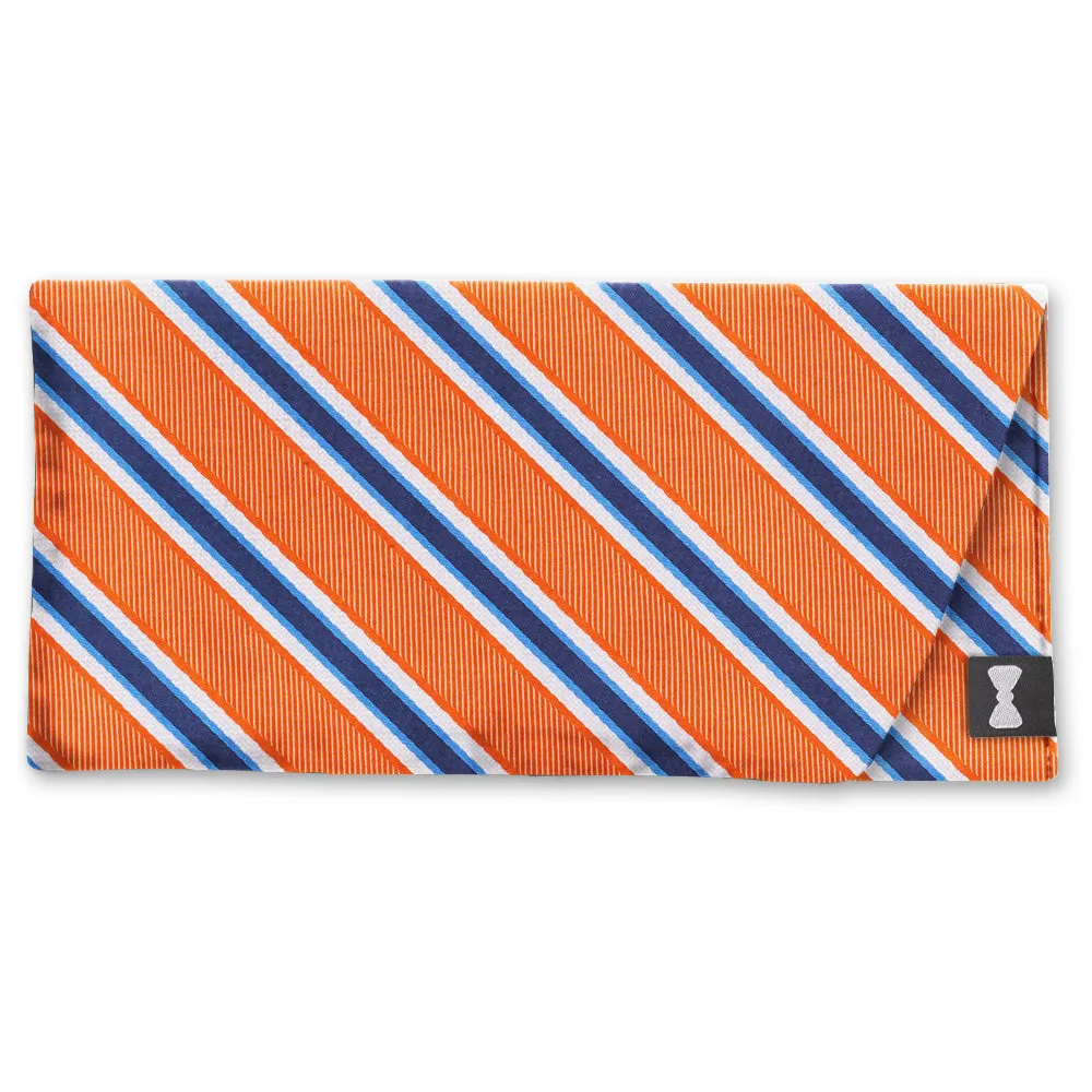 Riverside Orange - Eyeglass Cases