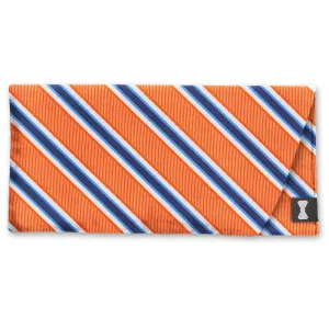 Riverside Orange - Eyeglass Cases