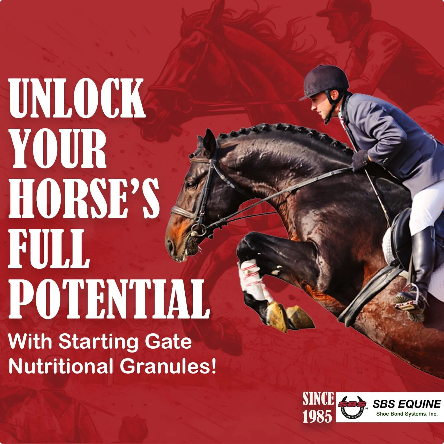 SBS Equine | Starting Gate Granules for Horses | Horse Calming Supplement That Prevents & Reverses Gastric Equine Ulcers | 1.1 Gallon (3-Week Supply)