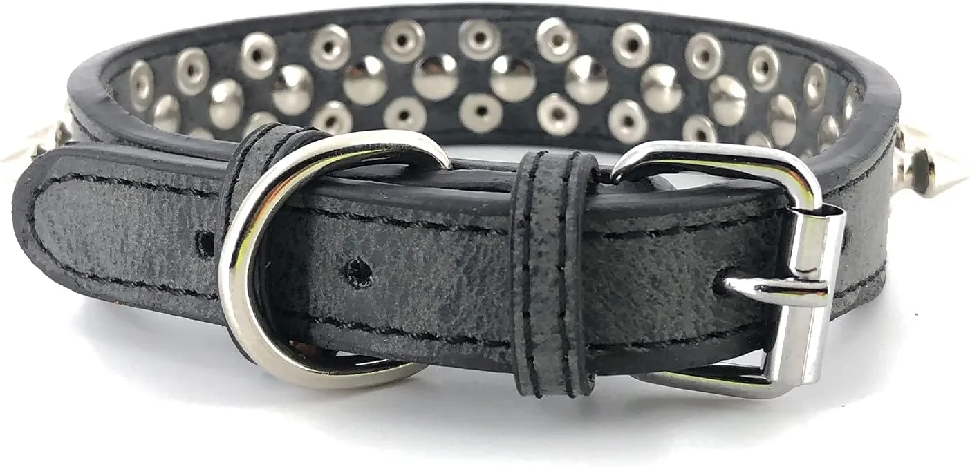 Spiked Studded Dog Collar-Chrome Round Stud Anti-Bite Collar (Black,M)