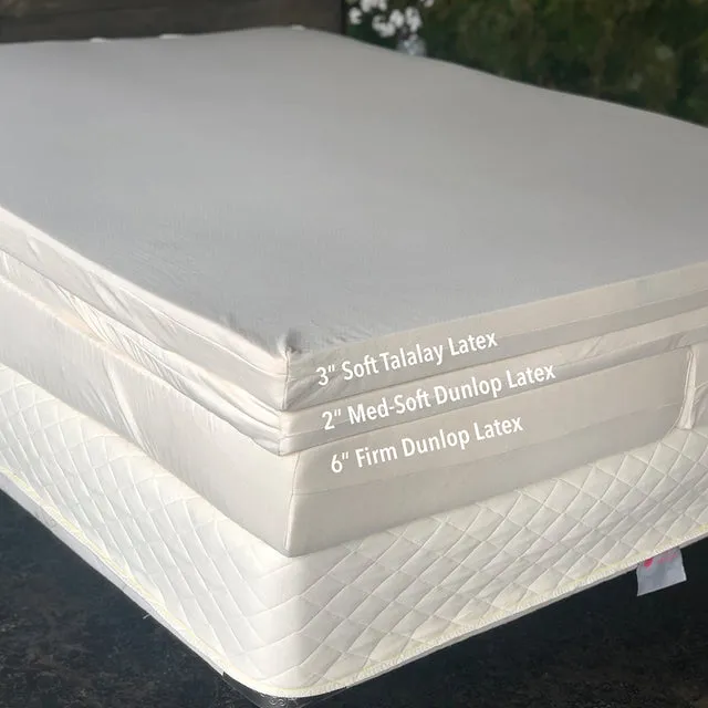 Suite Portfolio Mattress by Suite Sleep